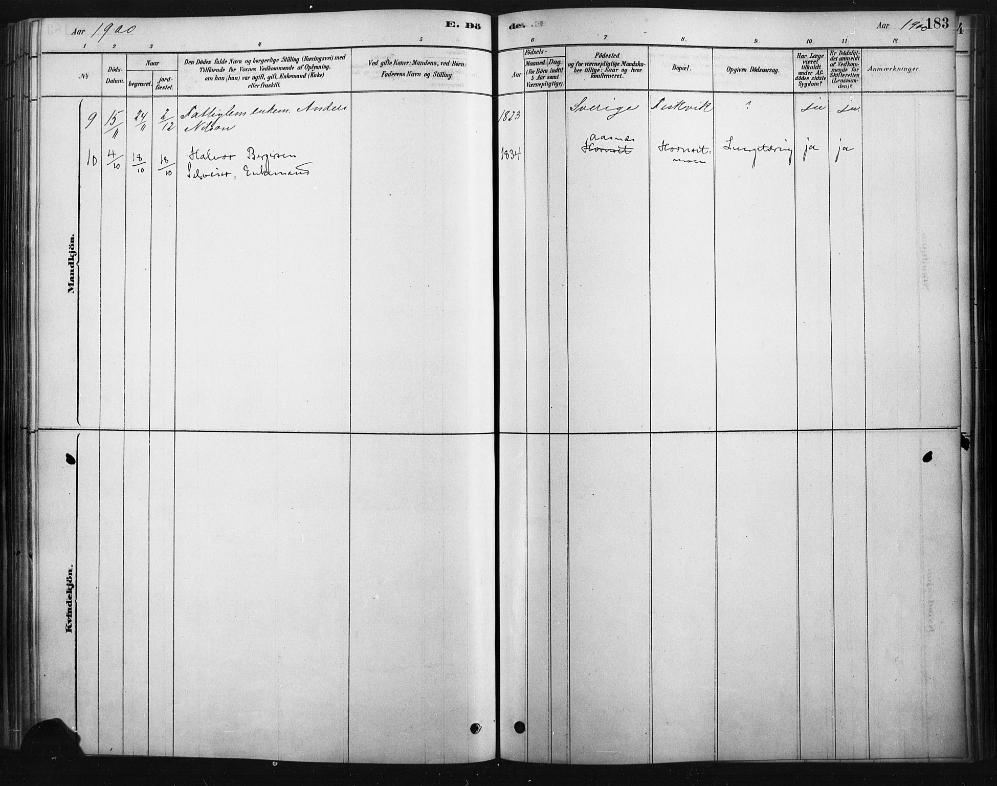 Rendalen prestekontor, SAH/PREST-054/H/Ha/Haa/L0010: Ministerialbok nr. 10, 1878-1901, s. 183