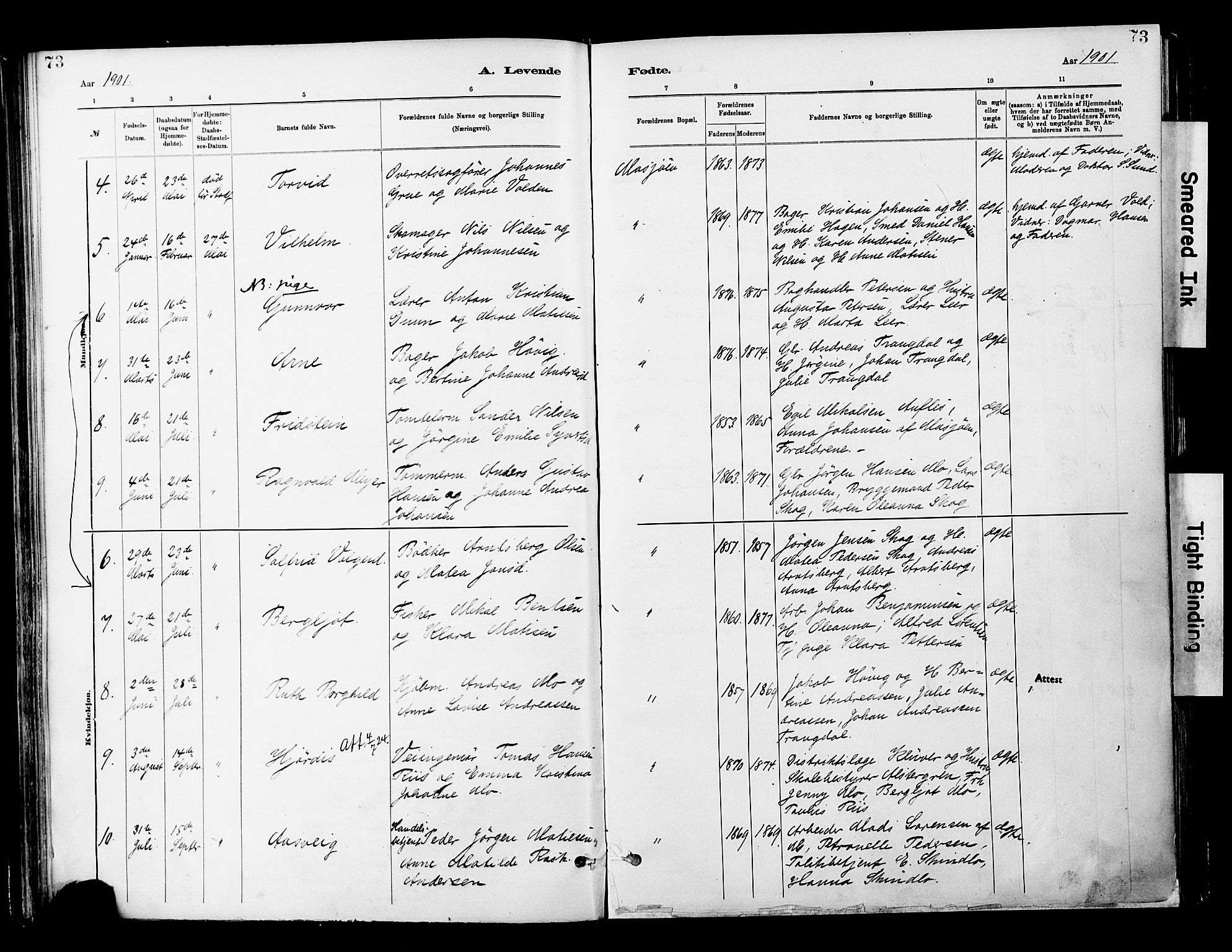 Ministerialprotokoller, klokkerbøker og fødselsregistre - Nordland, AV/SAT-A-1459/820/L0296: Ministerialbok nr. 820A17, 1880-1903, s. 73