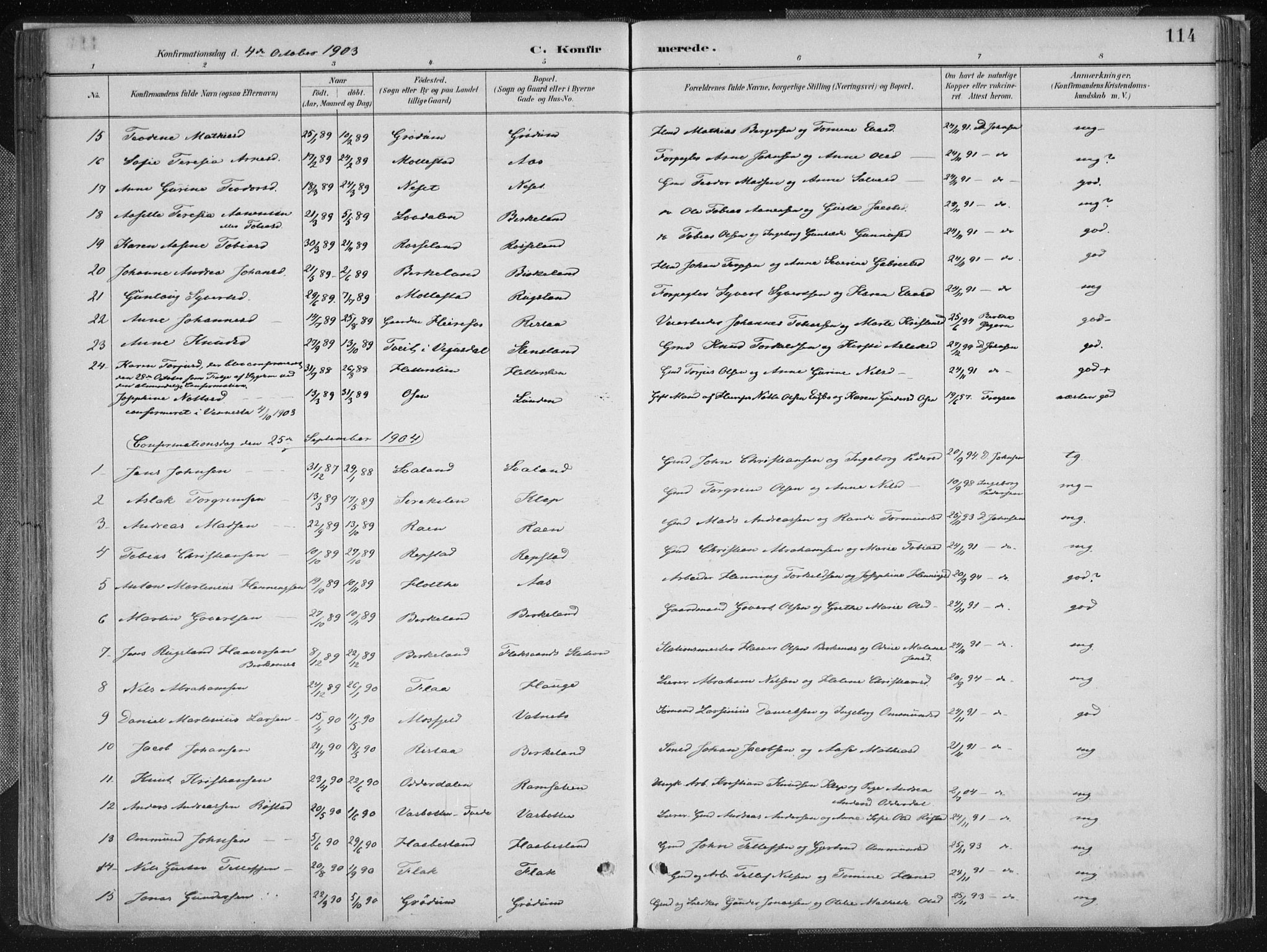 Birkenes sokneprestkontor, SAK/1111-0004/F/Fa/L0005: Ministerialbok nr. A 5, 1887-1907, s. 114