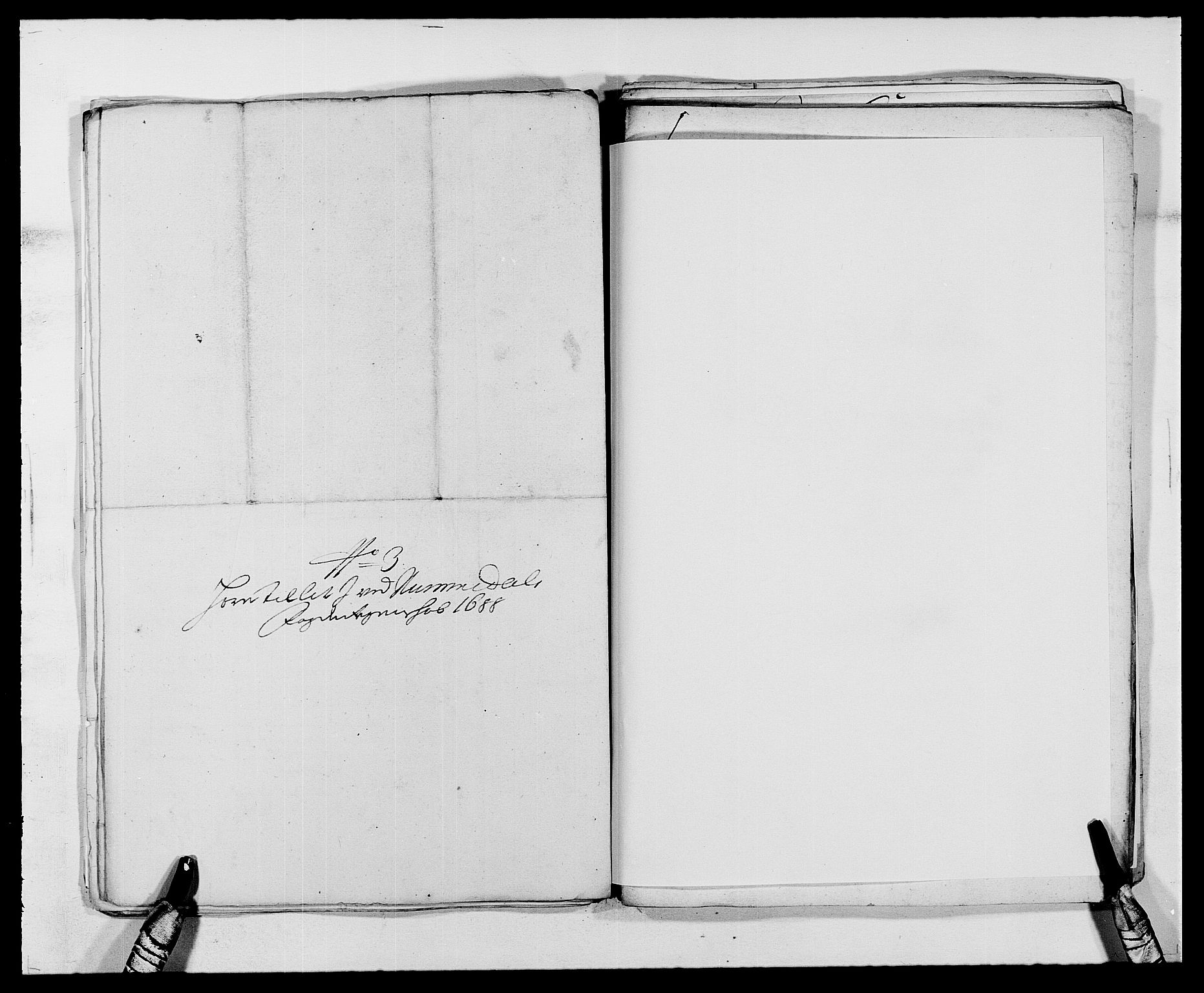 Rentekammeret inntil 1814, Reviderte regnskaper, Fogderegnskap, AV/RA-EA-4092/R64/L4422: Fogderegnskap Namdal, 1687-1689, s. 141