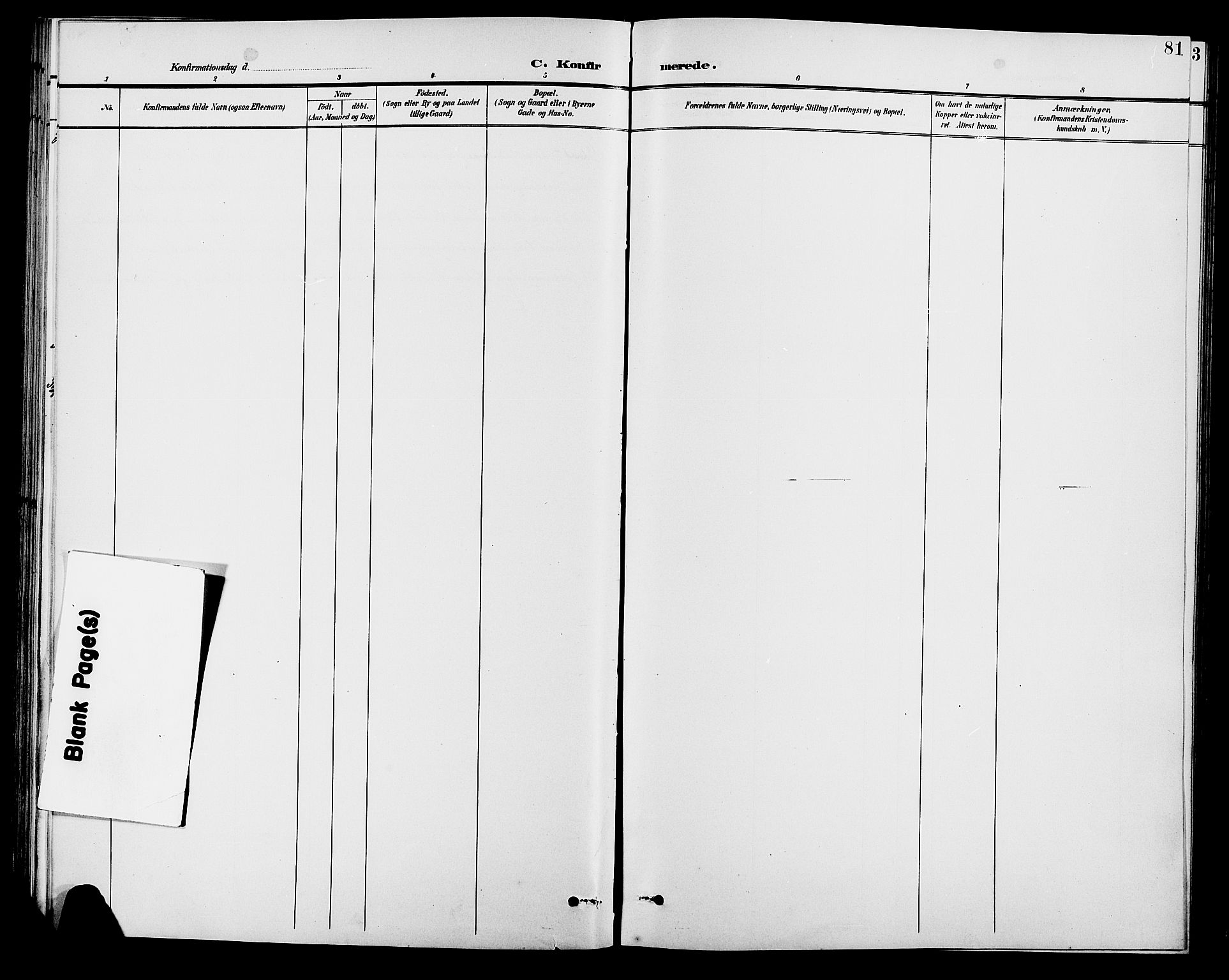 Brandval prestekontor, SAH/PREST-034/H/Ha/Hab/L0001: Klokkerbok nr. 1, 1895-1910, s. 81
