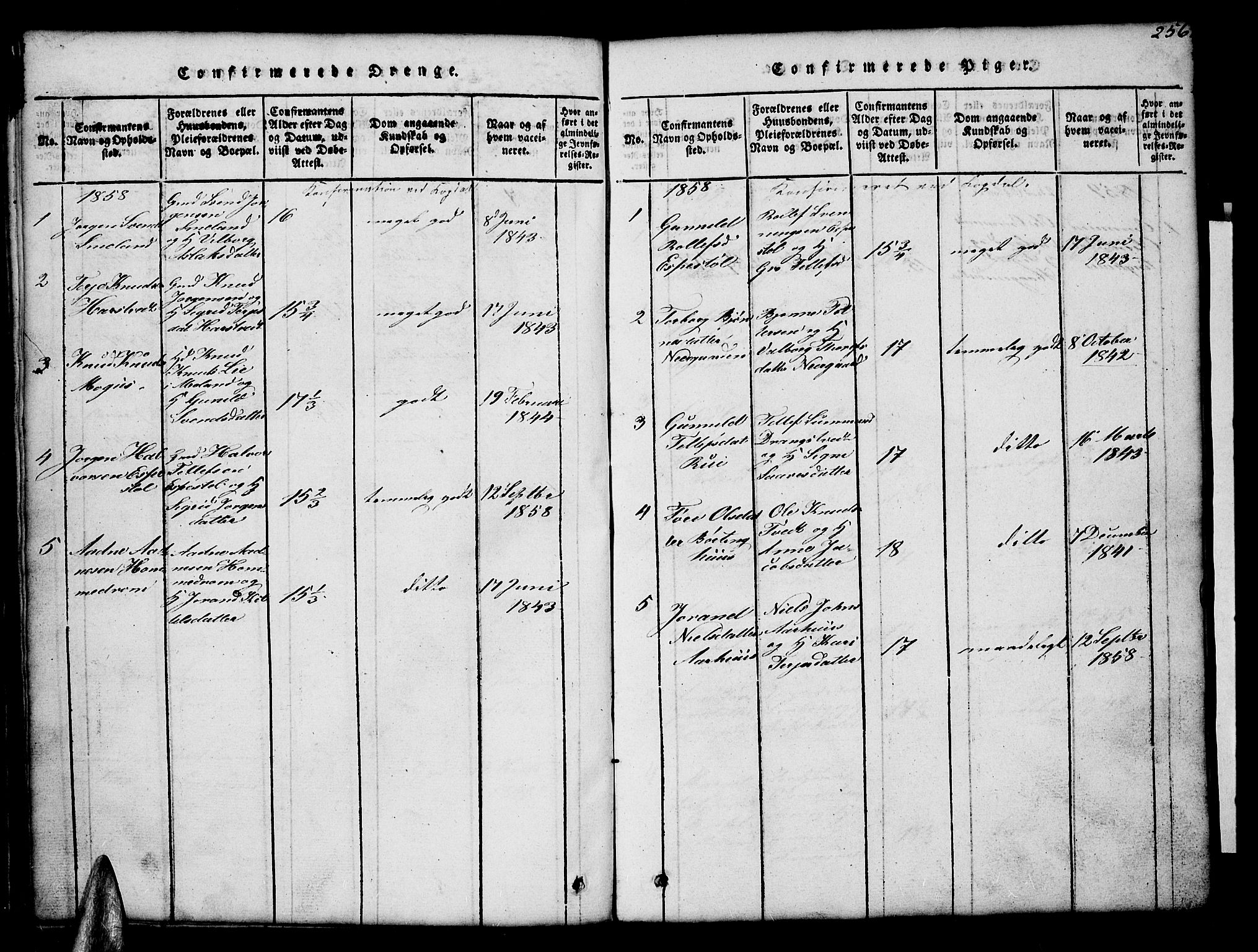 Åmli sokneprestkontor, SAK/1111-0050/F/Fb/Fba/L0001: Klokkerbok nr. B 1, 1816-1890, s. 256