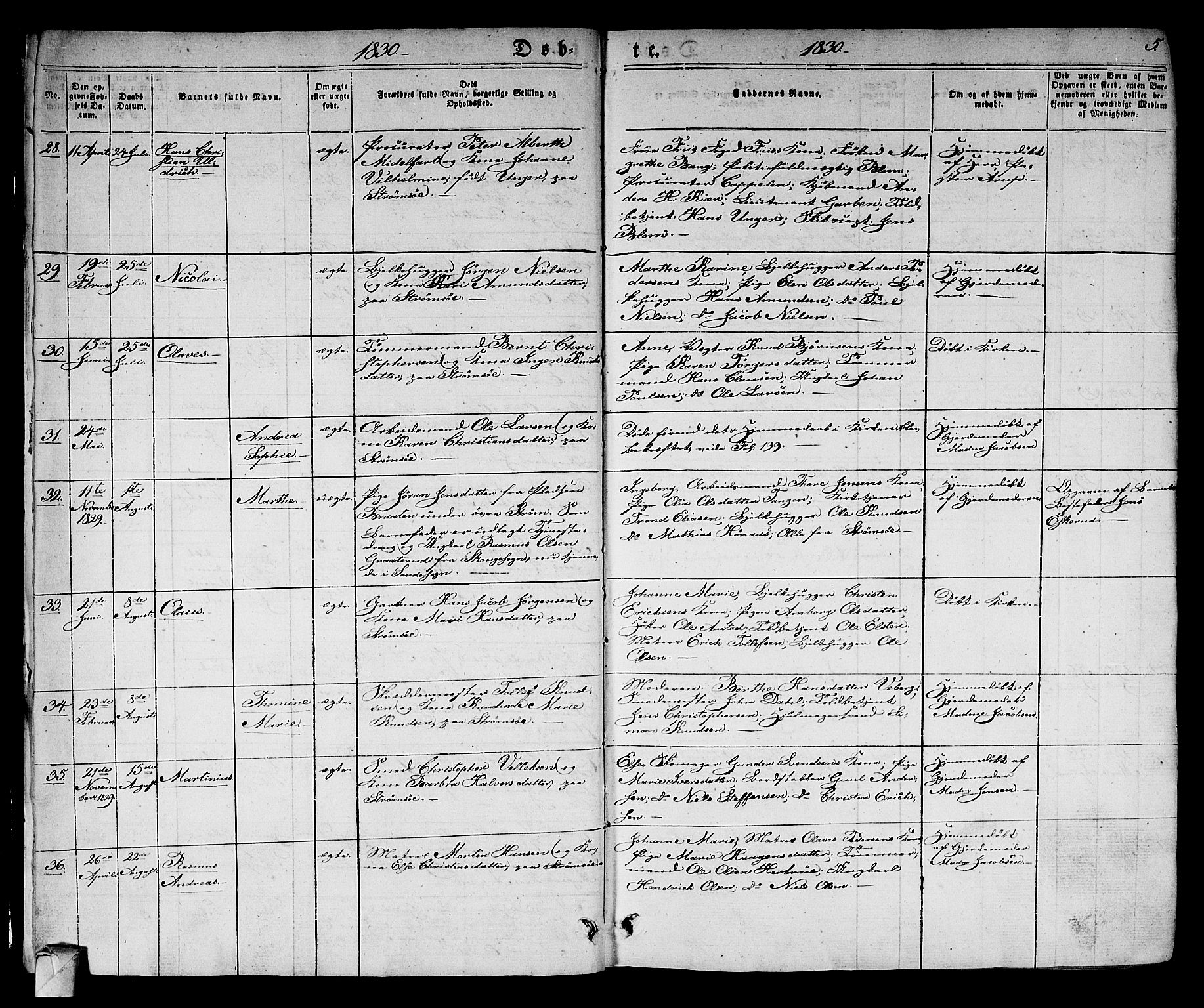 Strømsø kirkebøker, AV/SAKO-A-246/F/Fa/L0012: Ministerialbok nr. I 12, 1830-1847, s. 5