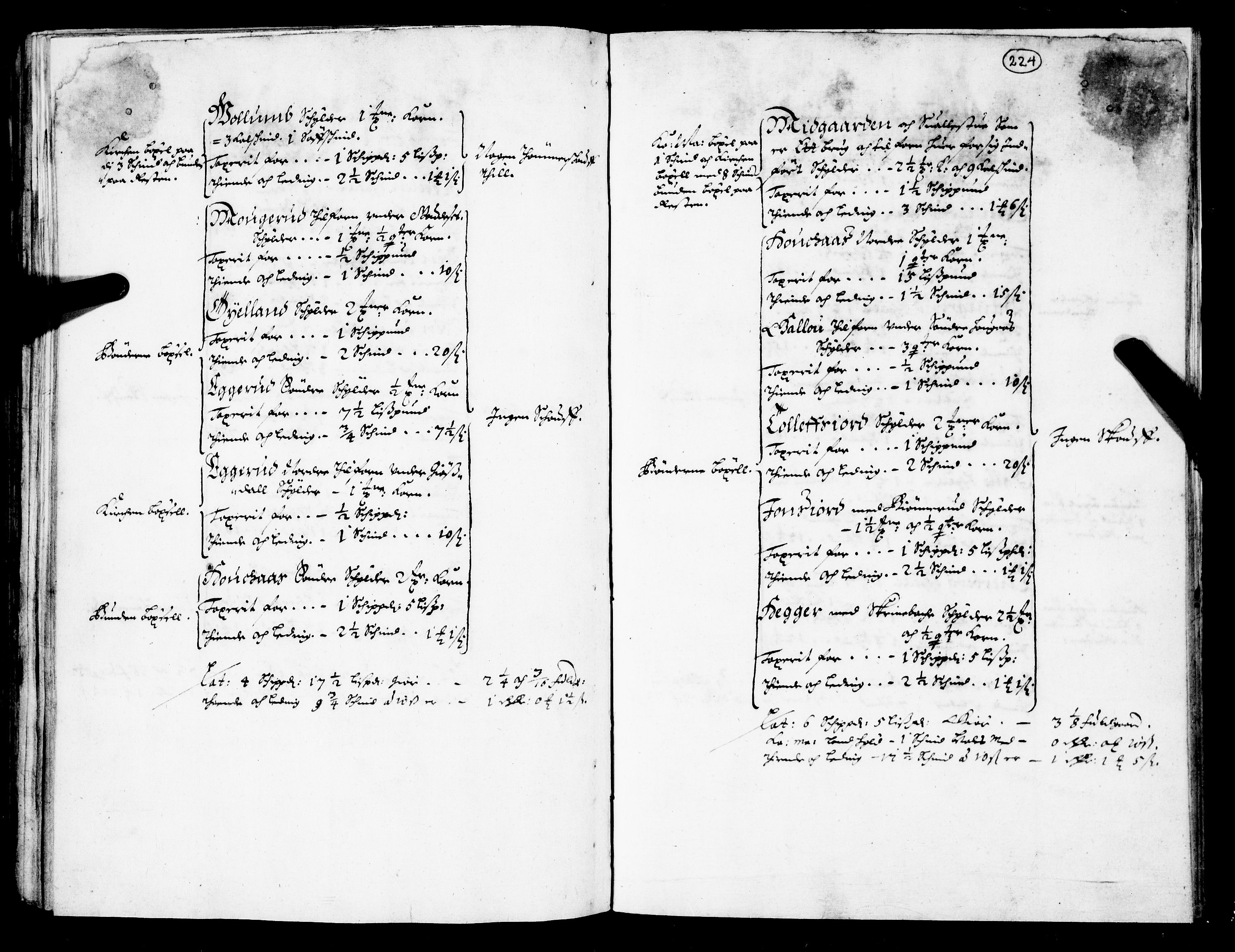 Rentekammeret inntil 1814, Realistisk ordnet avdeling, RA/EA-4070/N/Nb/Nba/L0026: Nedre og Øvre Telemark fogderi, 1667, s. 223b-224a