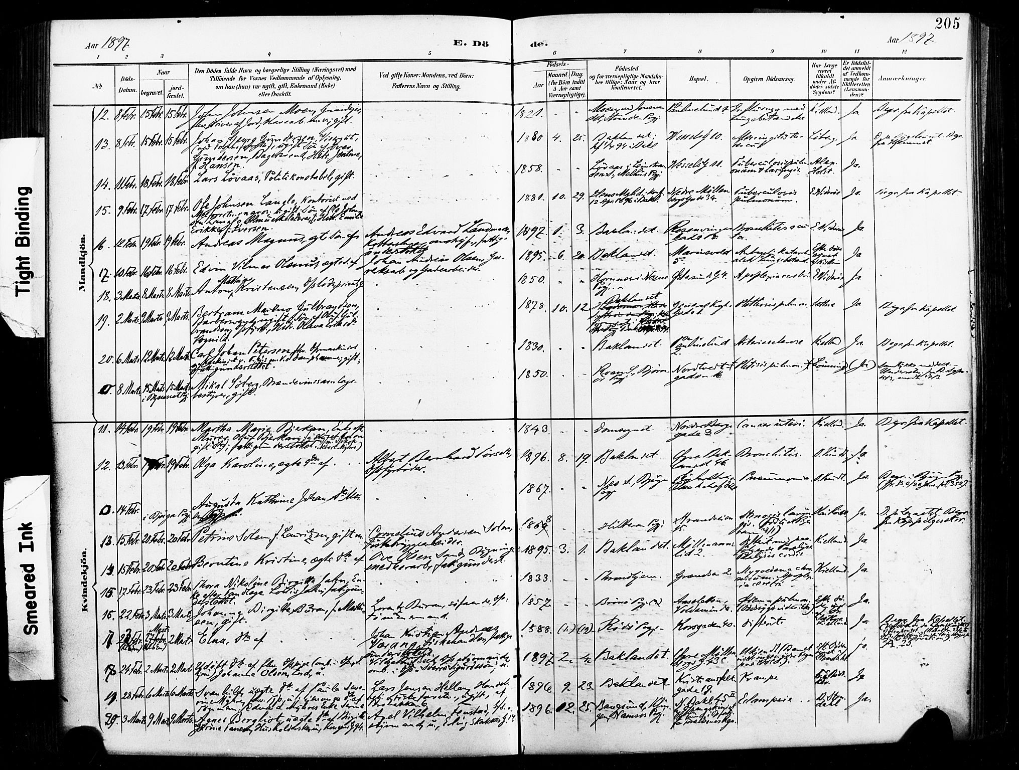 Ministerialprotokoller, klokkerbøker og fødselsregistre - Sør-Trøndelag, AV/SAT-A-1456/604/L0198: Ministerialbok nr. 604A19, 1893-1900, s. 205