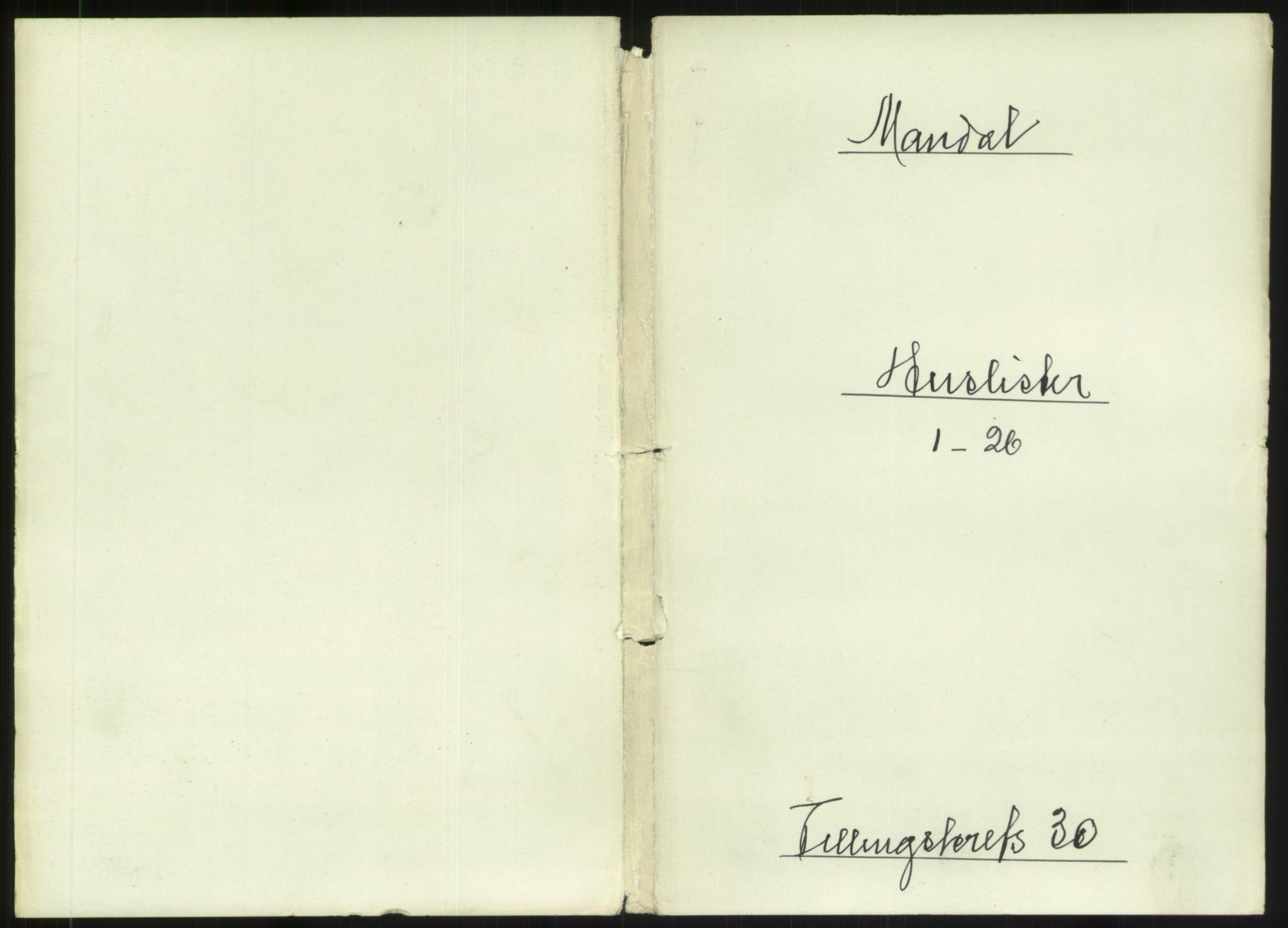 RA, Folketelling 1891 for 1002 Mandal ladested, 1891, s. 1345