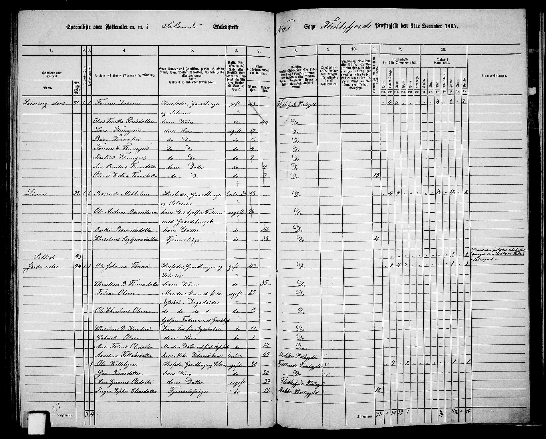 RA, Folketelling 1865 for 1042L Flekkefjord prestegjeld, Nes sokn og Hidra sokn, 1865, s. 160