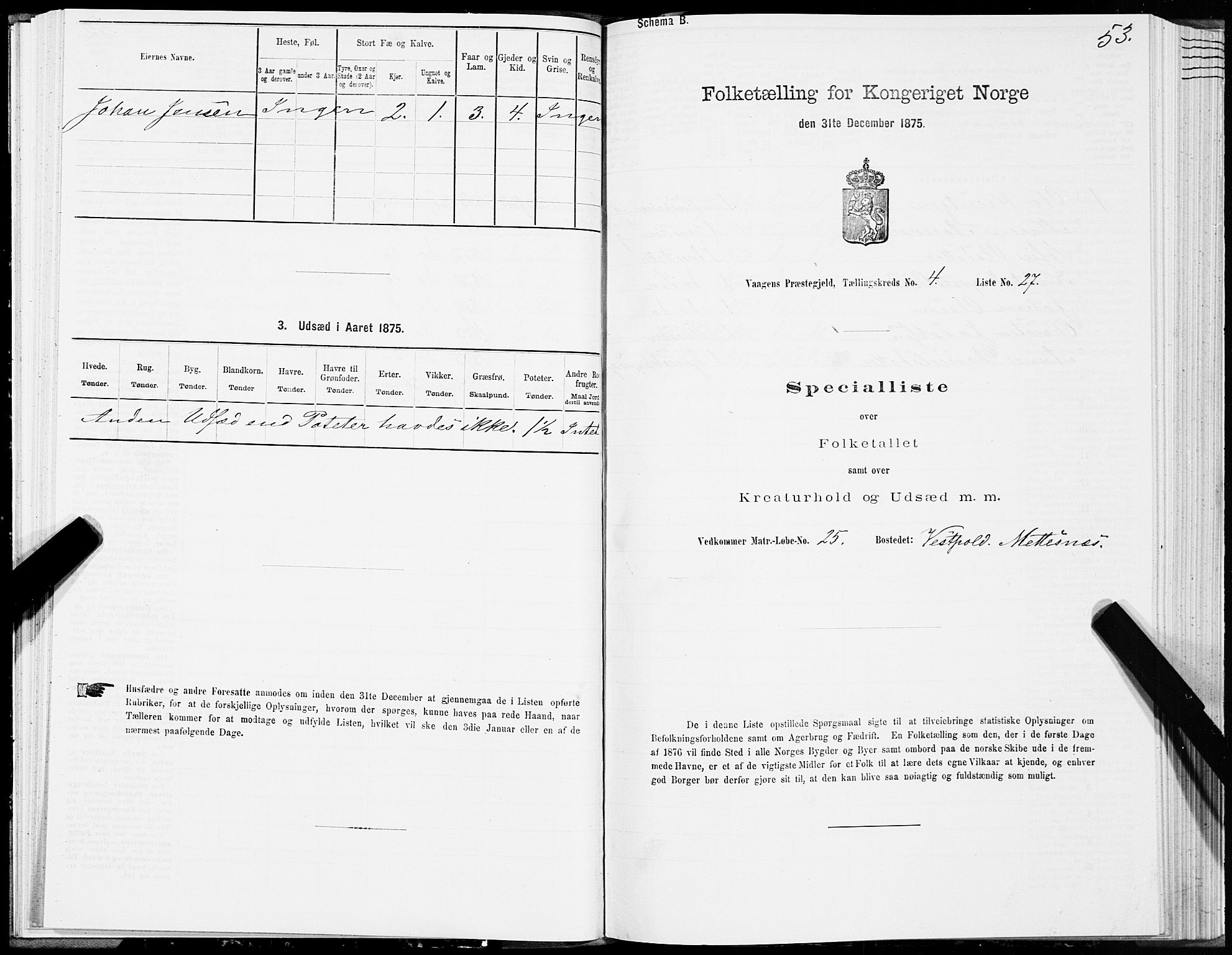 SAT, Folketelling 1875 for 1865P Vågan prestegjeld, 1875, s. 3053