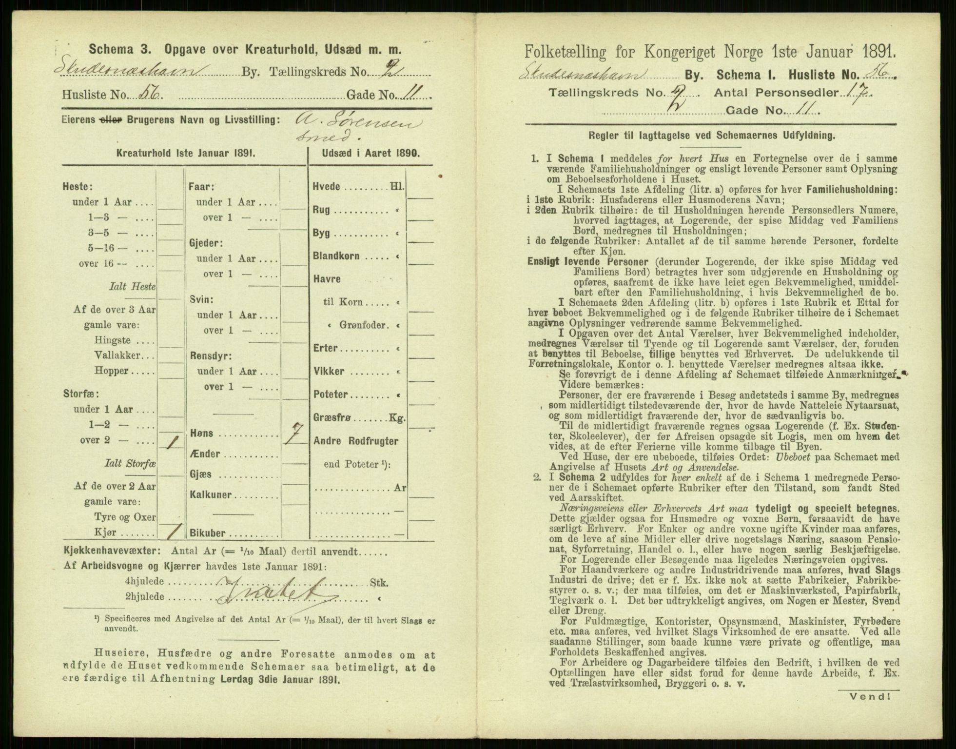 RA, Folketelling 1891 for 1104 Skudeneshavn ladested, 1891, s. 170