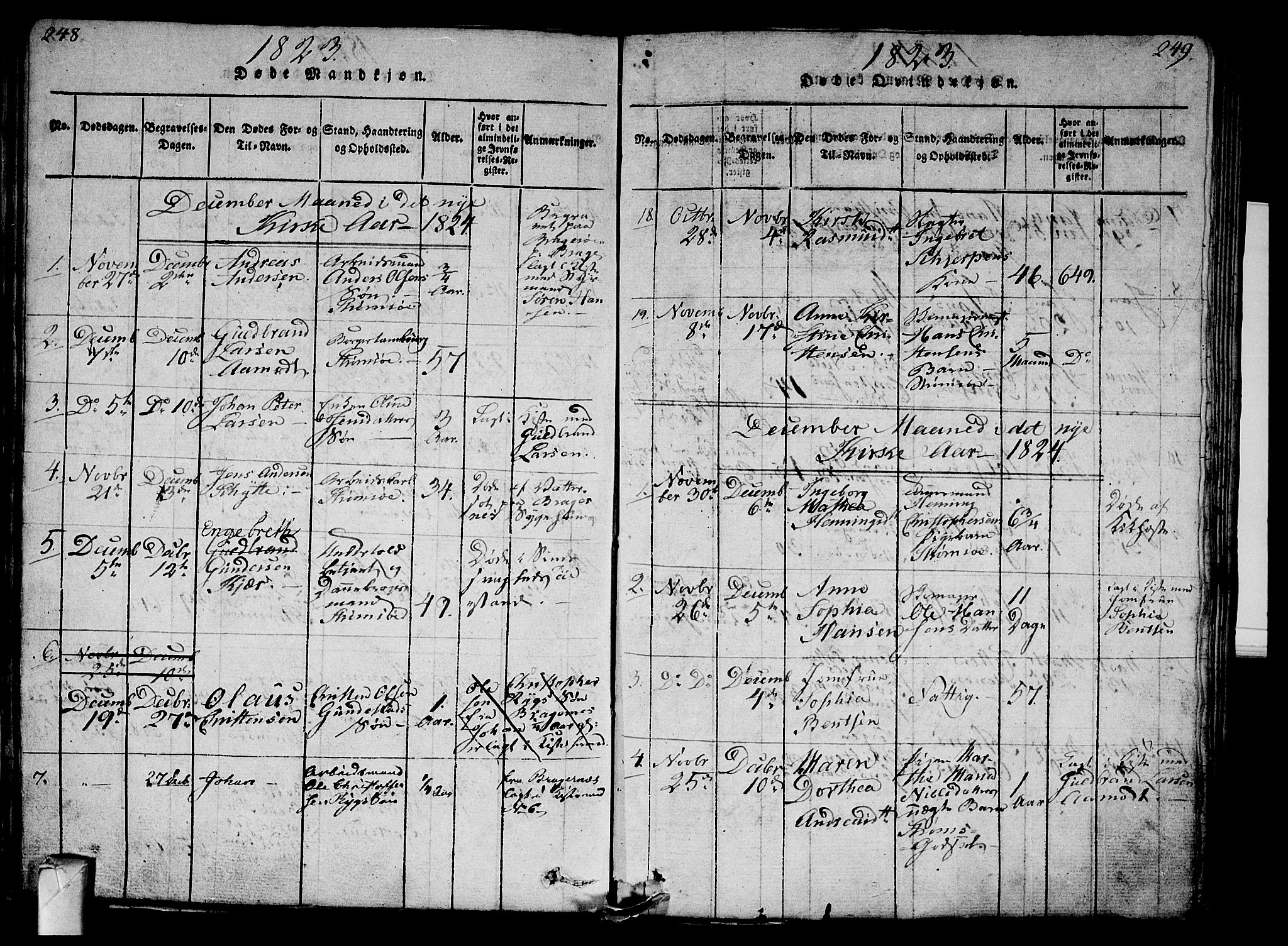 Strømsø kirkebøker, AV/SAKO-A-246/G/Ga/L0001: Klokkerbok nr. 1, 1815-1829, s. 248-249
