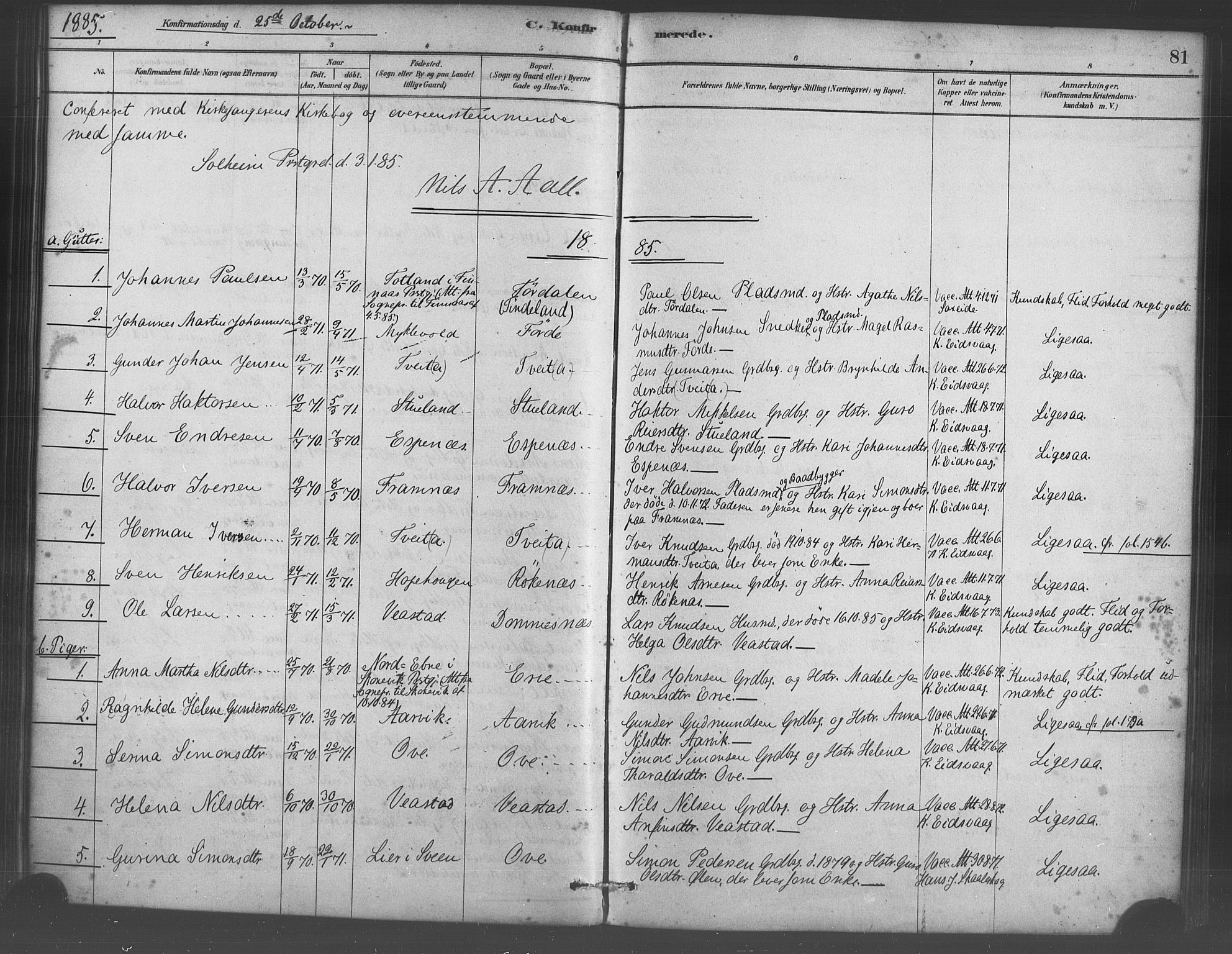 Sveio Sokneprestembete, AV/SAB-A-78501/H/Haa: Ministerialbok nr. D 1, 1878-1894, s. 81