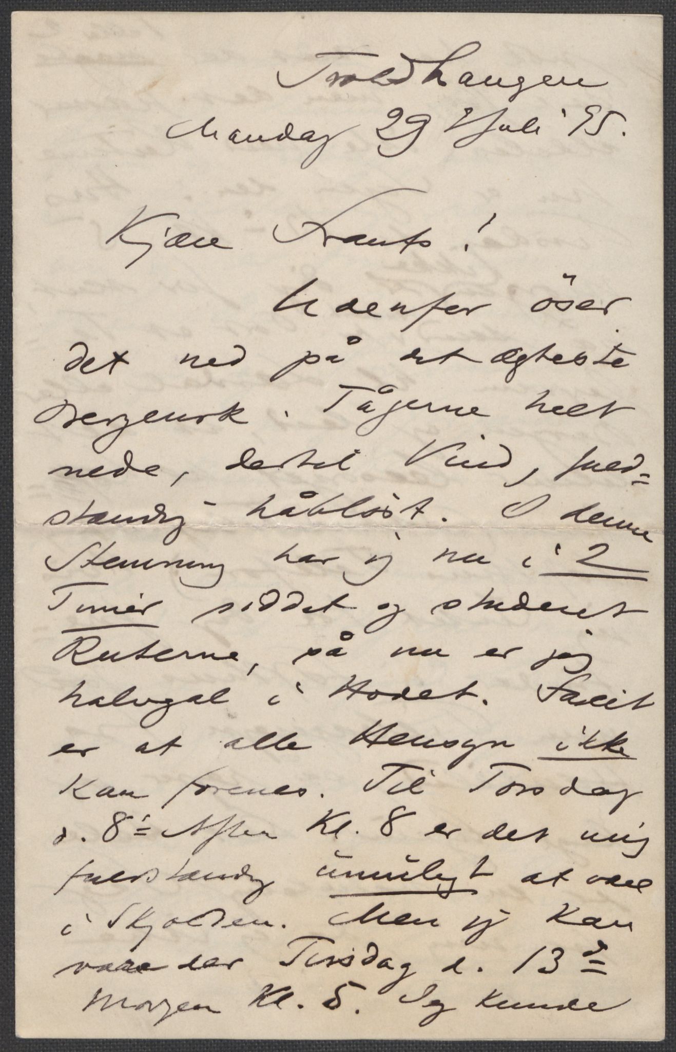 Beyer, Frants, RA/PA-0132/F/L0001: Brev fra Edvard Grieg til Frantz Beyer og "En del optegnelser som kan tjene til kommentar til brevene" av Marie Beyer, 1872-1907, s. 446