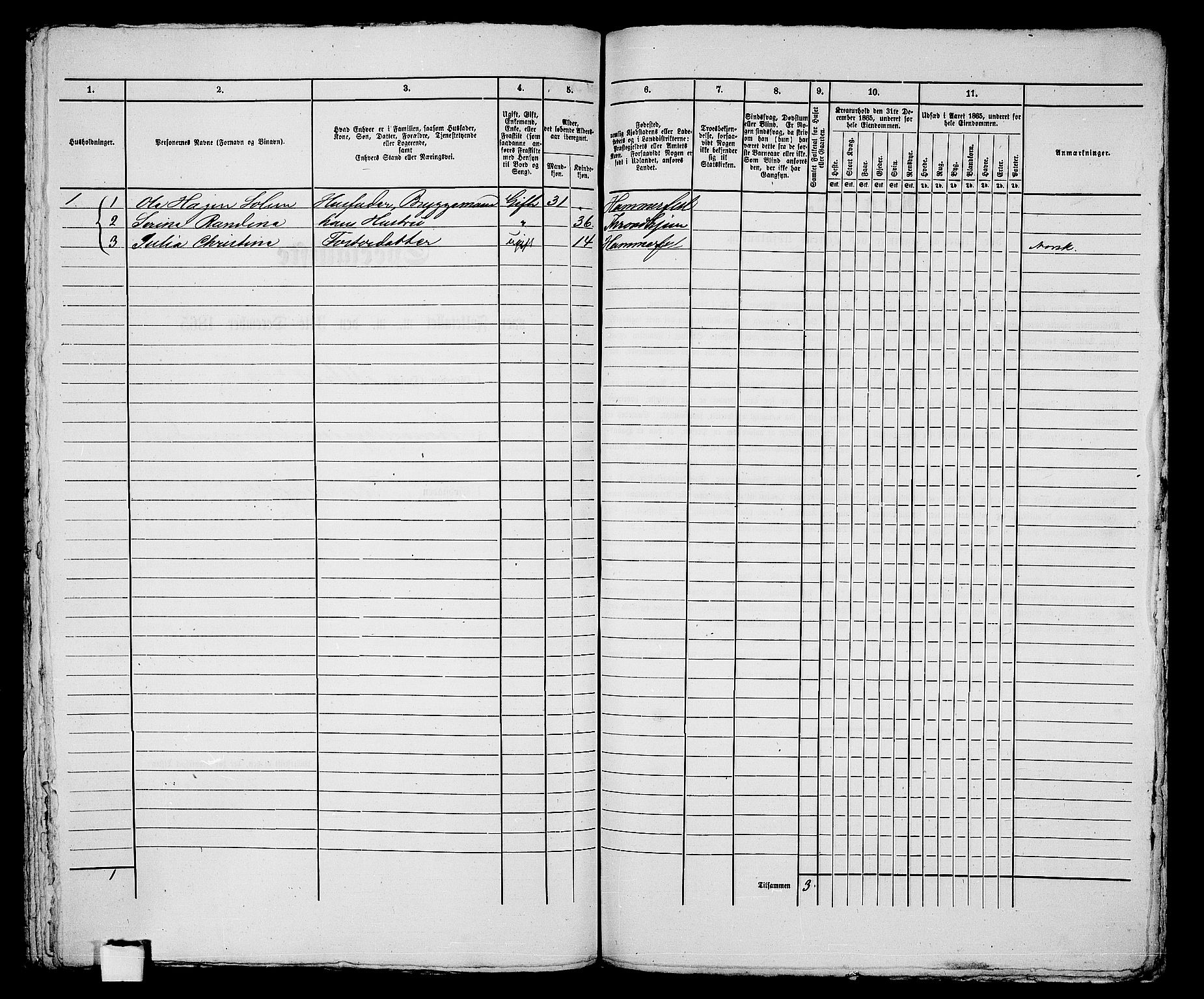 RA, Folketelling 1865 for 2001B Hammerfest prestegjeld, Hammerfest kjøpstad, 1865, s. 321