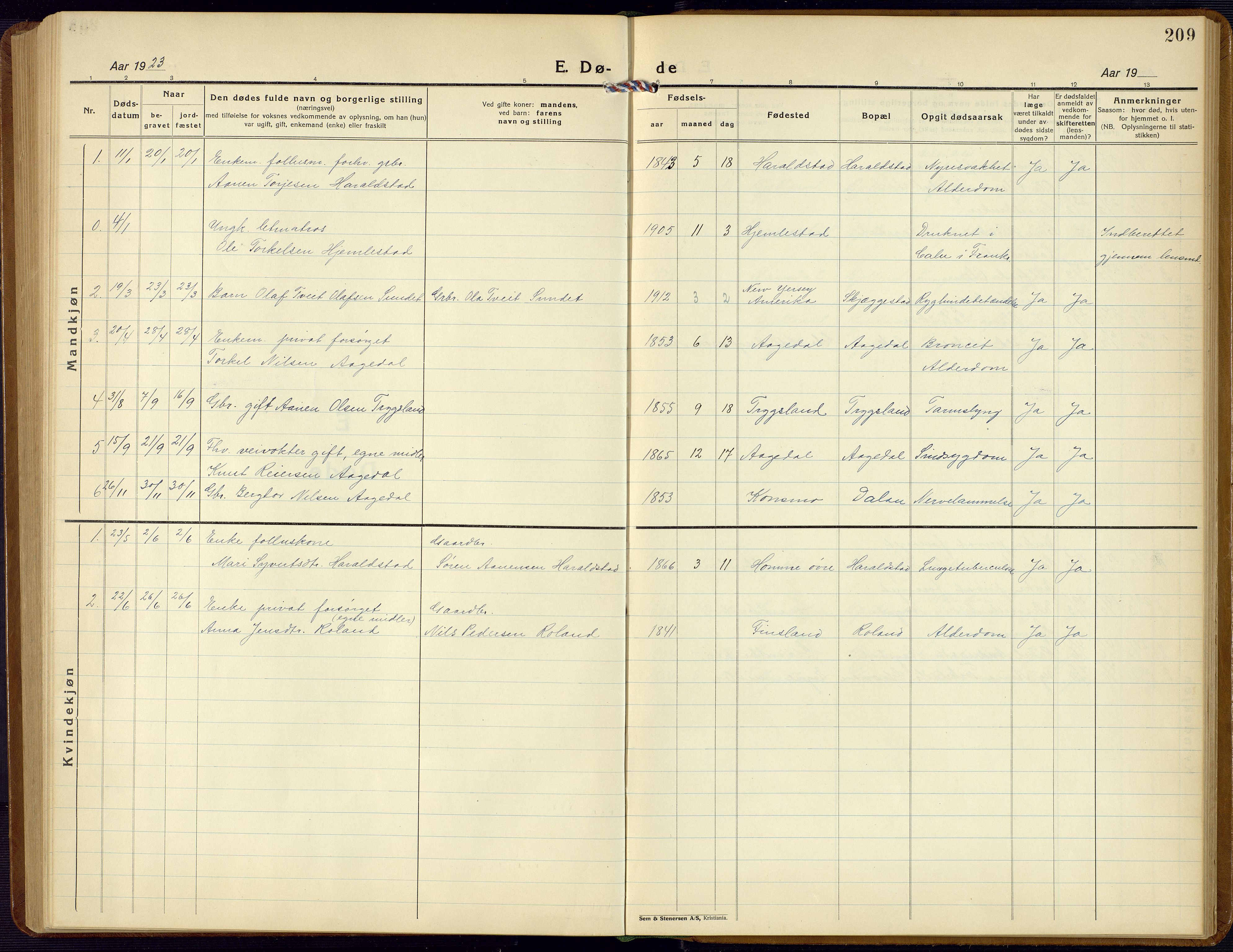 Bjelland sokneprestkontor, AV/SAK-1111-0005/F/Fb/Fba/L0006: Klokkerbok nr. B 6, 1923-1956, s. 209