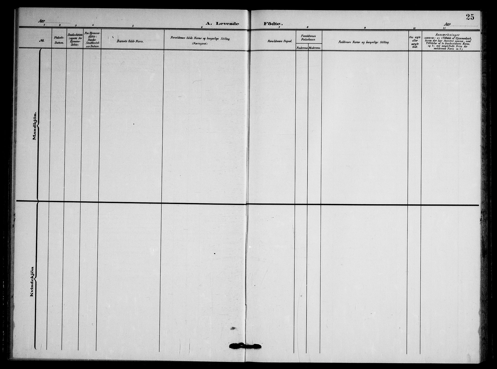 Våle kirkebøker, AV/SAKO-A-334/F/Fb/L0003: Ministerialbok nr. II 3, 1907-1936, s. 25