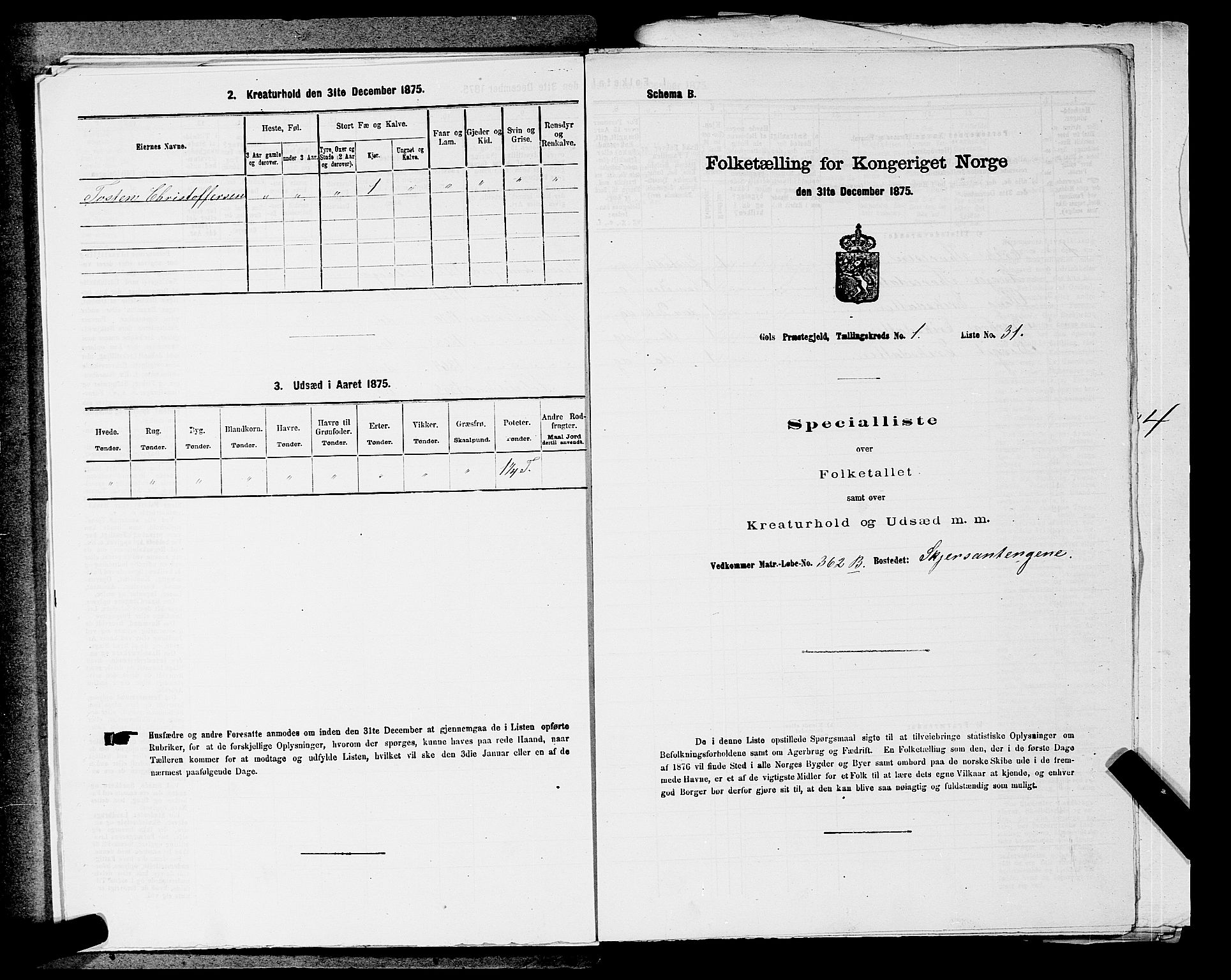 SAKO, Folketelling 1875 for 0617P Gol prestegjeld, 1875, s. 202