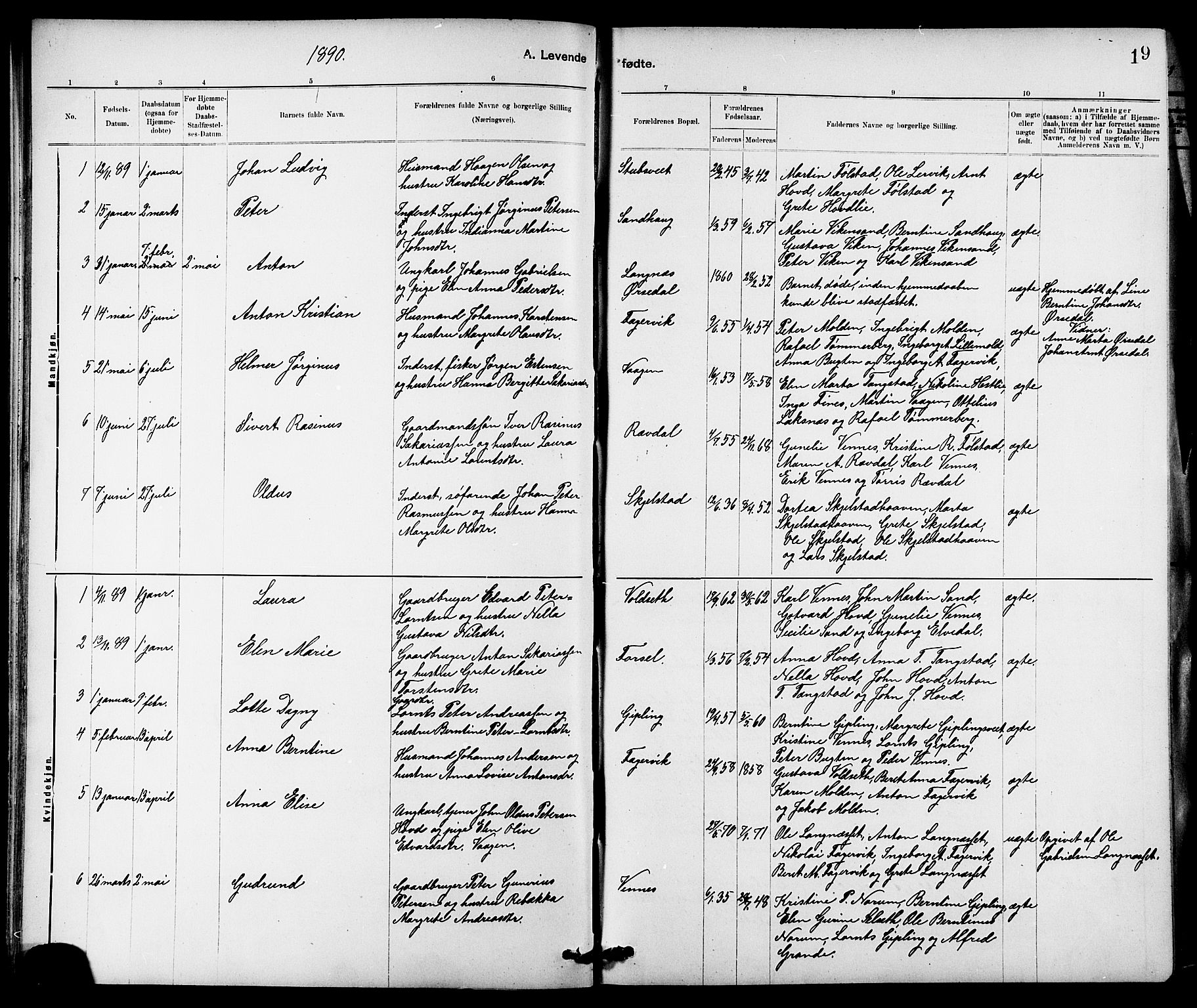 Ministerialprotokoller, klokkerbøker og fødselsregistre - Nord-Trøndelag, SAT/A-1458/744/L0423: Klokkerbok nr. 744C02, 1886-1905, s. 19