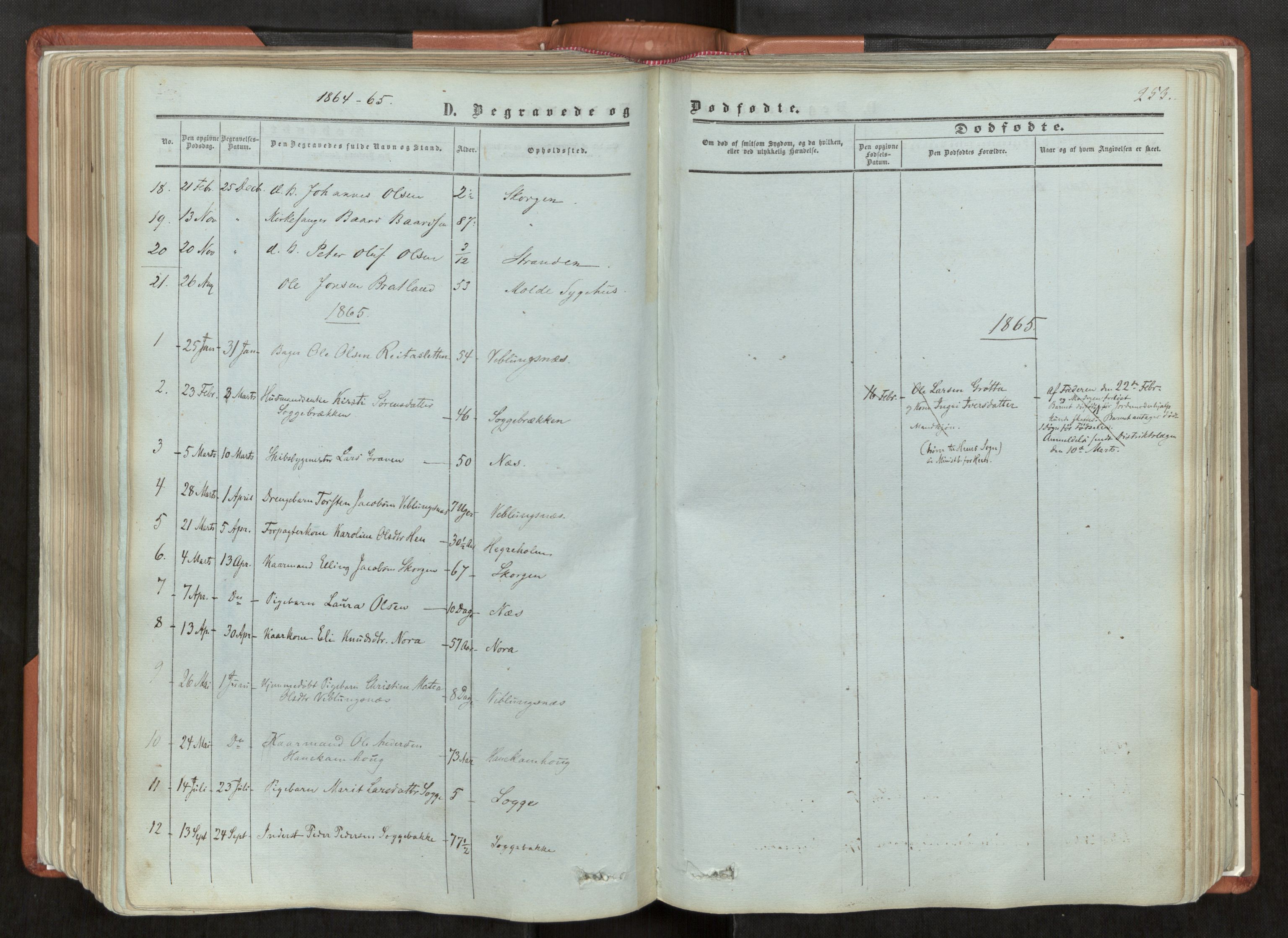 Ministerialprotokoller, klokkerbøker og fødselsregistre - Møre og Romsdal, AV/SAT-A-1454/544/L0572: Ministerialbok nr. 544A05, 1854-1886, s. 253