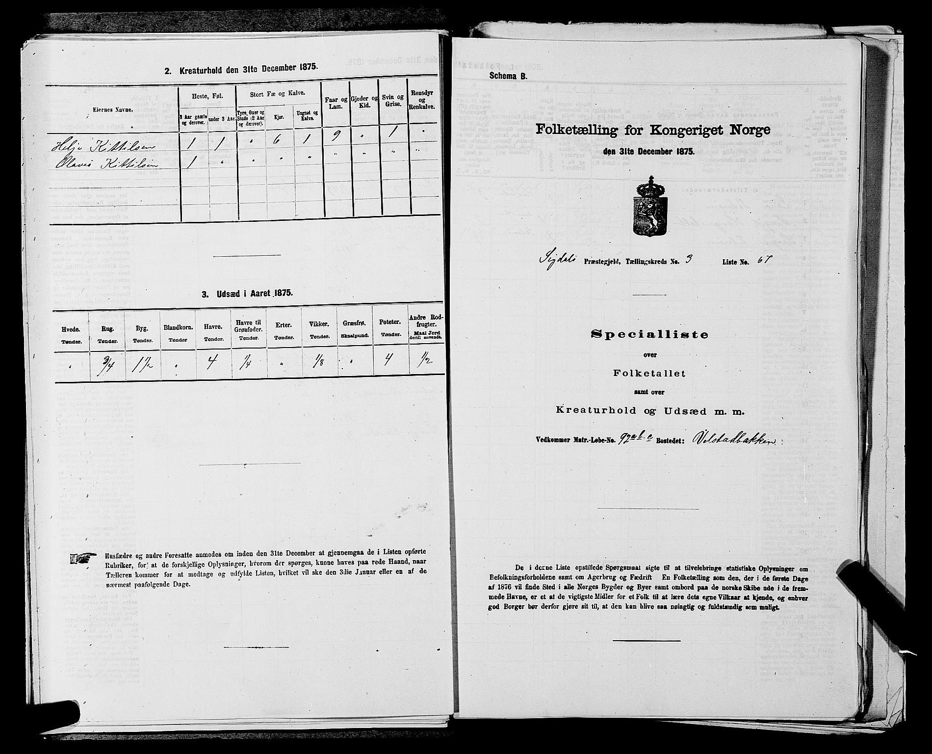 SAKO, Folketelling 1875 for 0621P Sigdal prestegjeld, 1875, s. 558