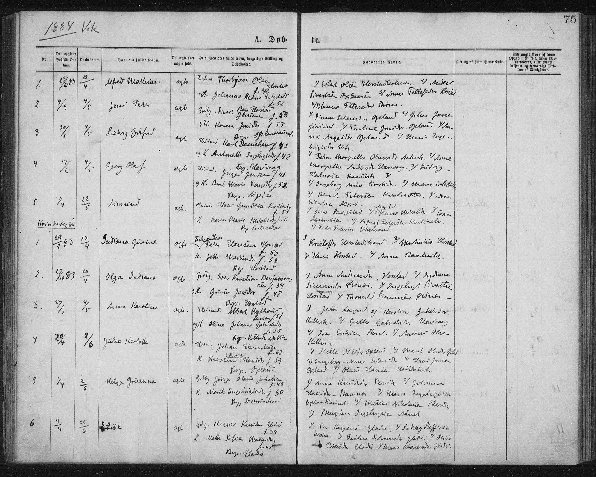 Ministerialprotokoller, klokkerbøker og fødselsregistre - Nord-Trøndelag, SAT/A-1458/771/L0596: Ministerialbok nr. 771A03, 1870-1884, s. 75