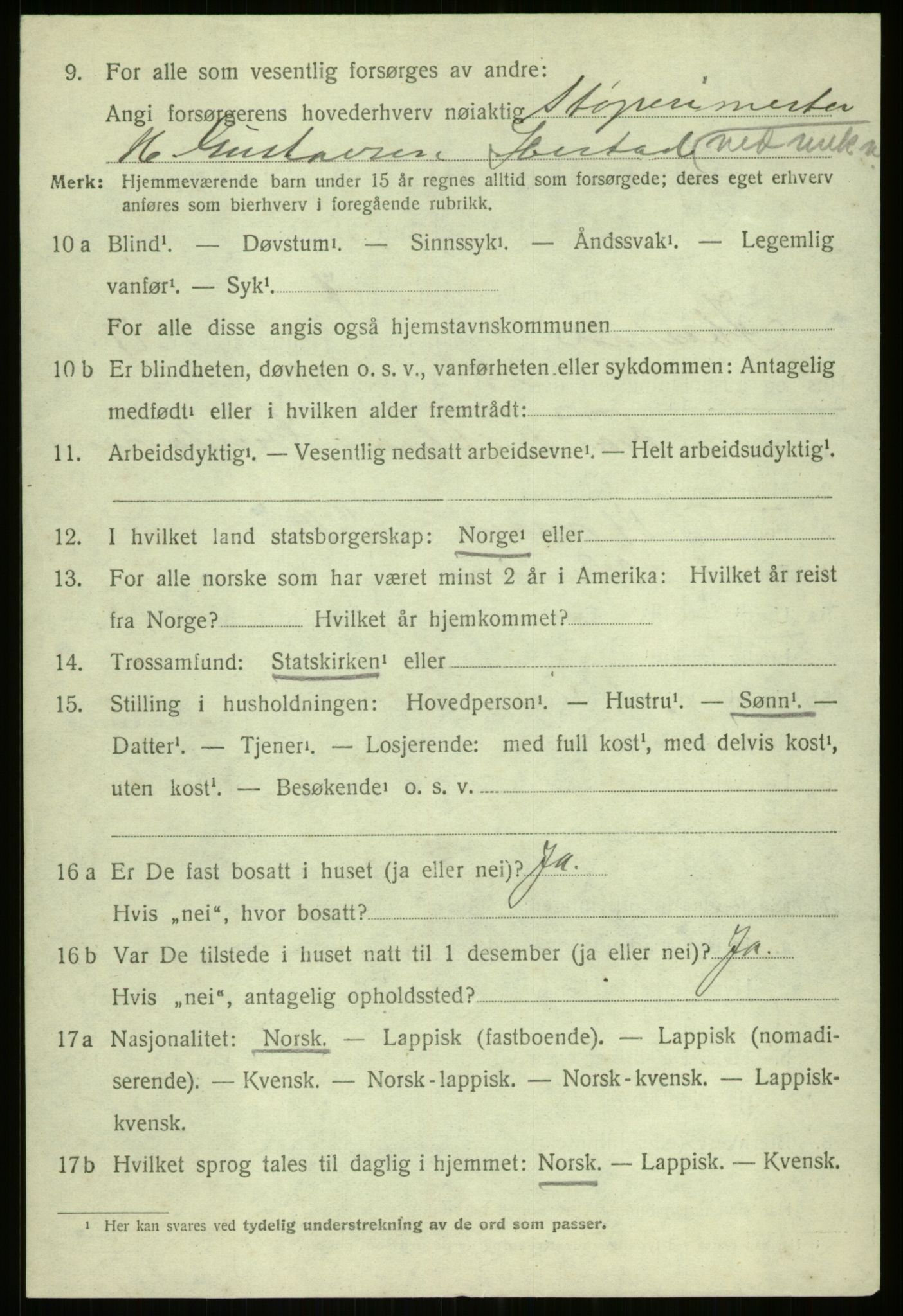 SATØ, Folketelling 1920 for 1917 Ibestad herred, 1920, s. 9007