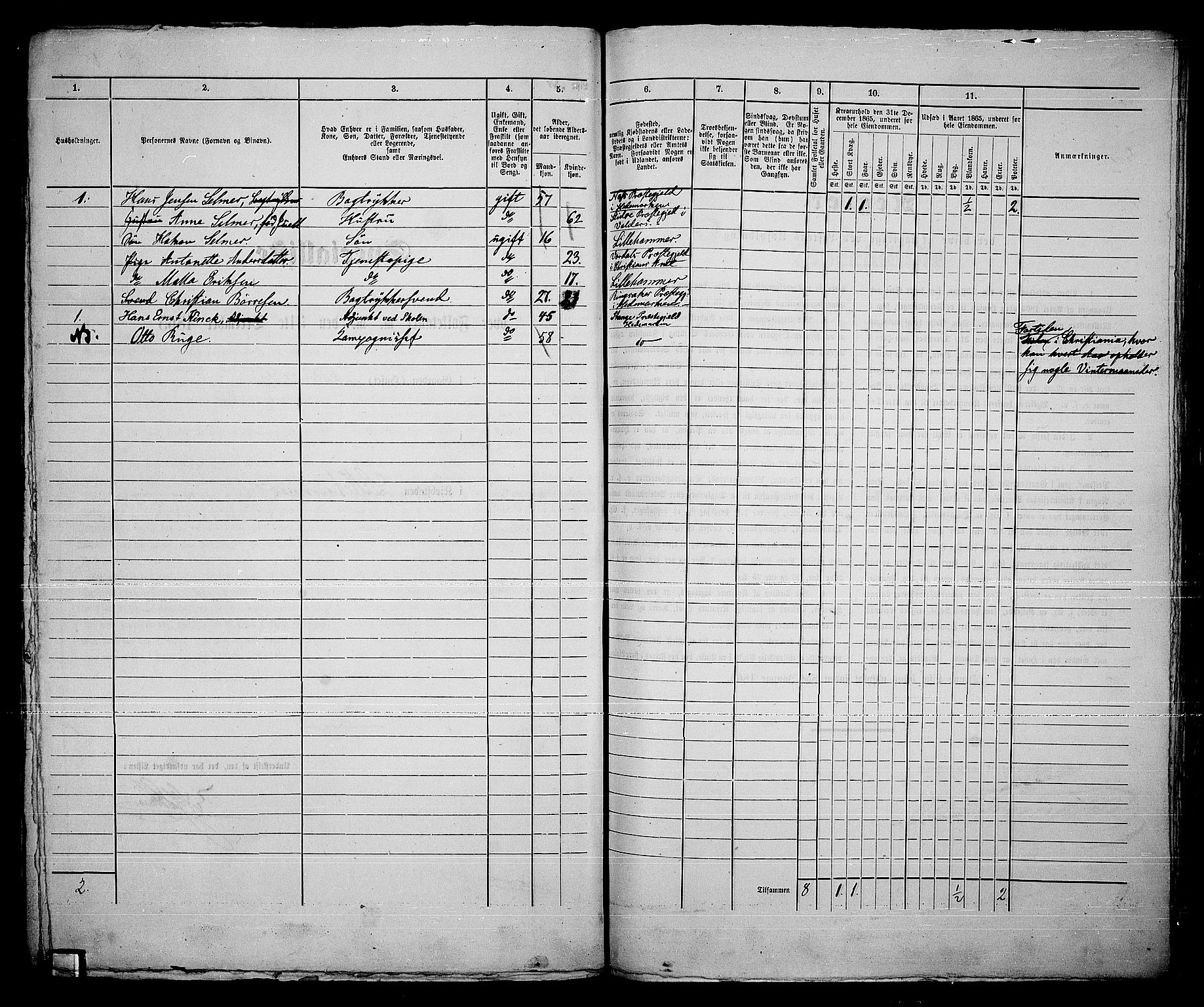 RA, Folketelling 1865 for 0501B Fåberg prestegjeld, Lillehammer kjøpstad, 1865, s. 203