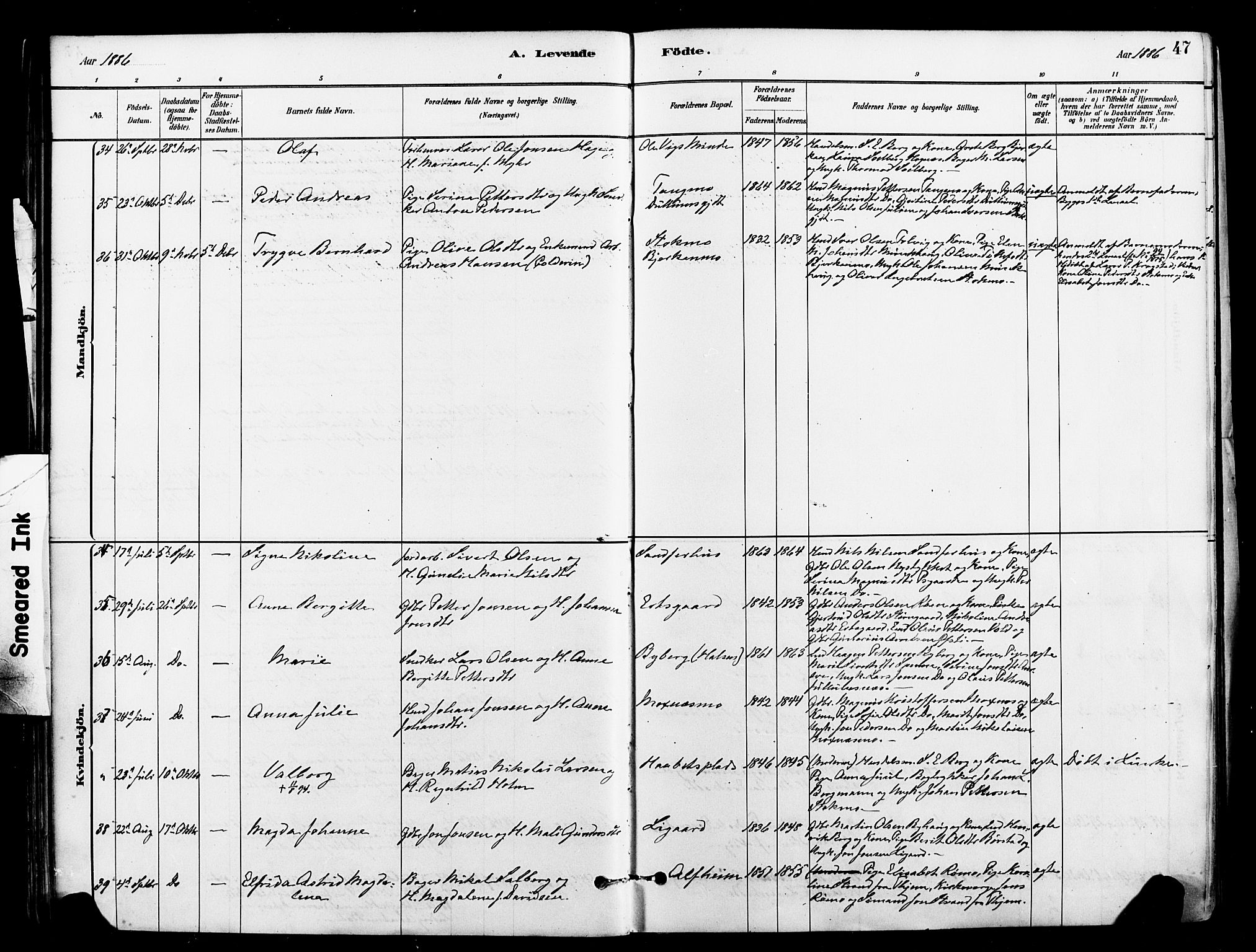 Ministerialprotokoller, klokkerbøker og fødselsregistre - Nord-Trøndelag, AV/SAT-A-1458/709/L0077: Ministerialbok nr. 709A17, 1880-1895, s. 47