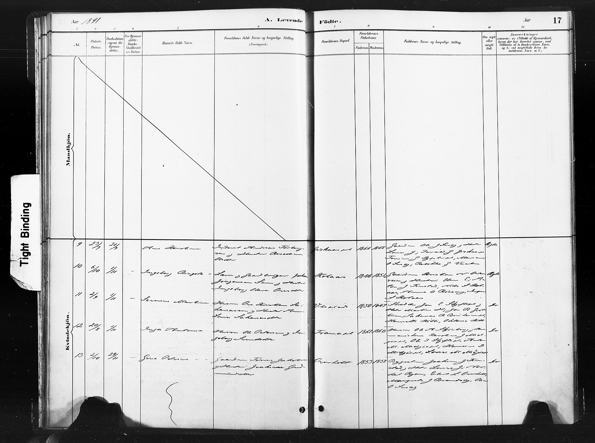 Ministerialprotokoller, klokkerbøker og fødselsregistre - Nord-Trøndelag, SAT/A-1458/736/L0361: Ministerialbok nr. 736A01, 1884-1906, s. 17