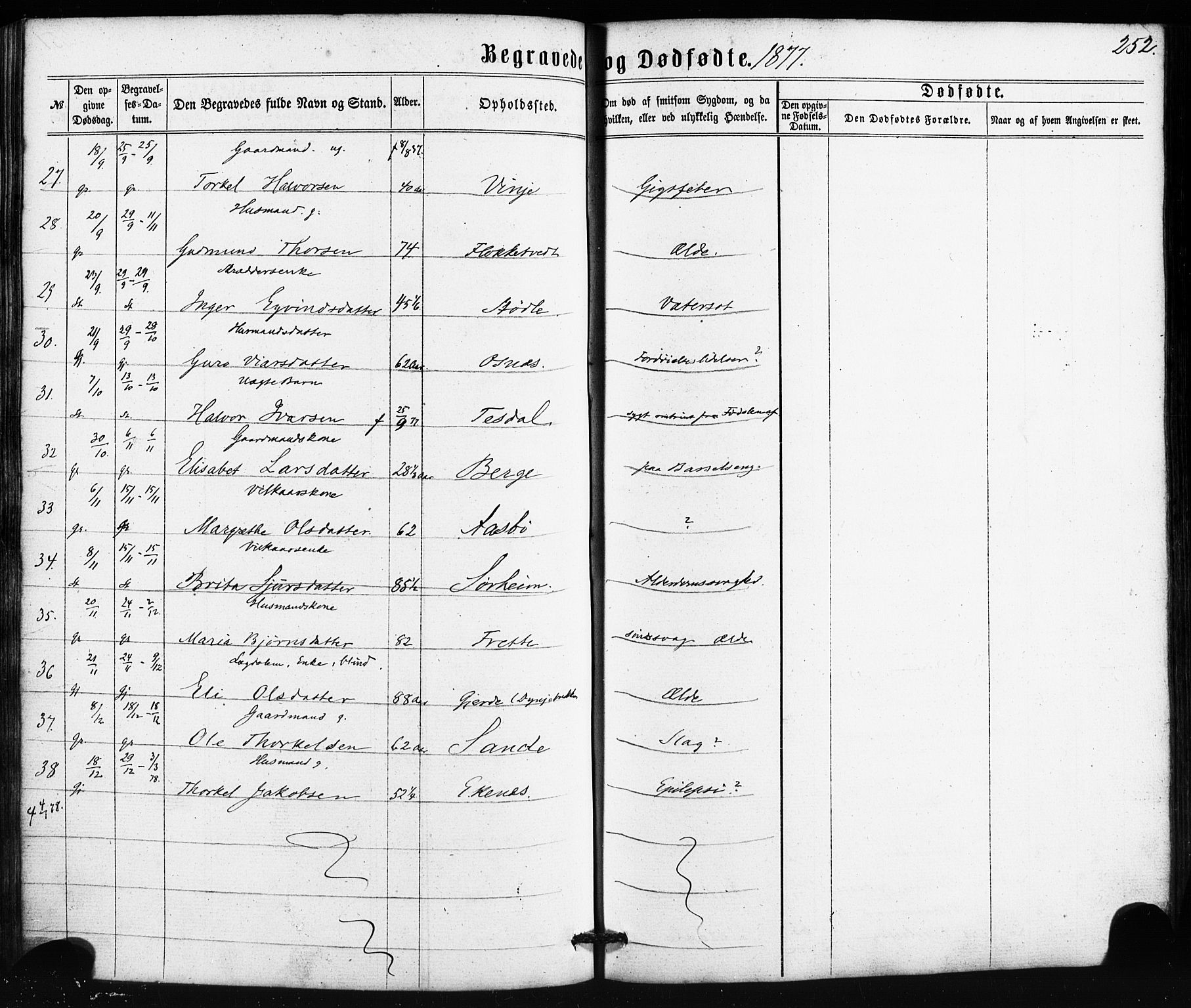 Etne sokneprestembete, AV/SAB-A-75001/H/Haa: Ministerialbok nr. A 9, 1862-1878, s. 252
