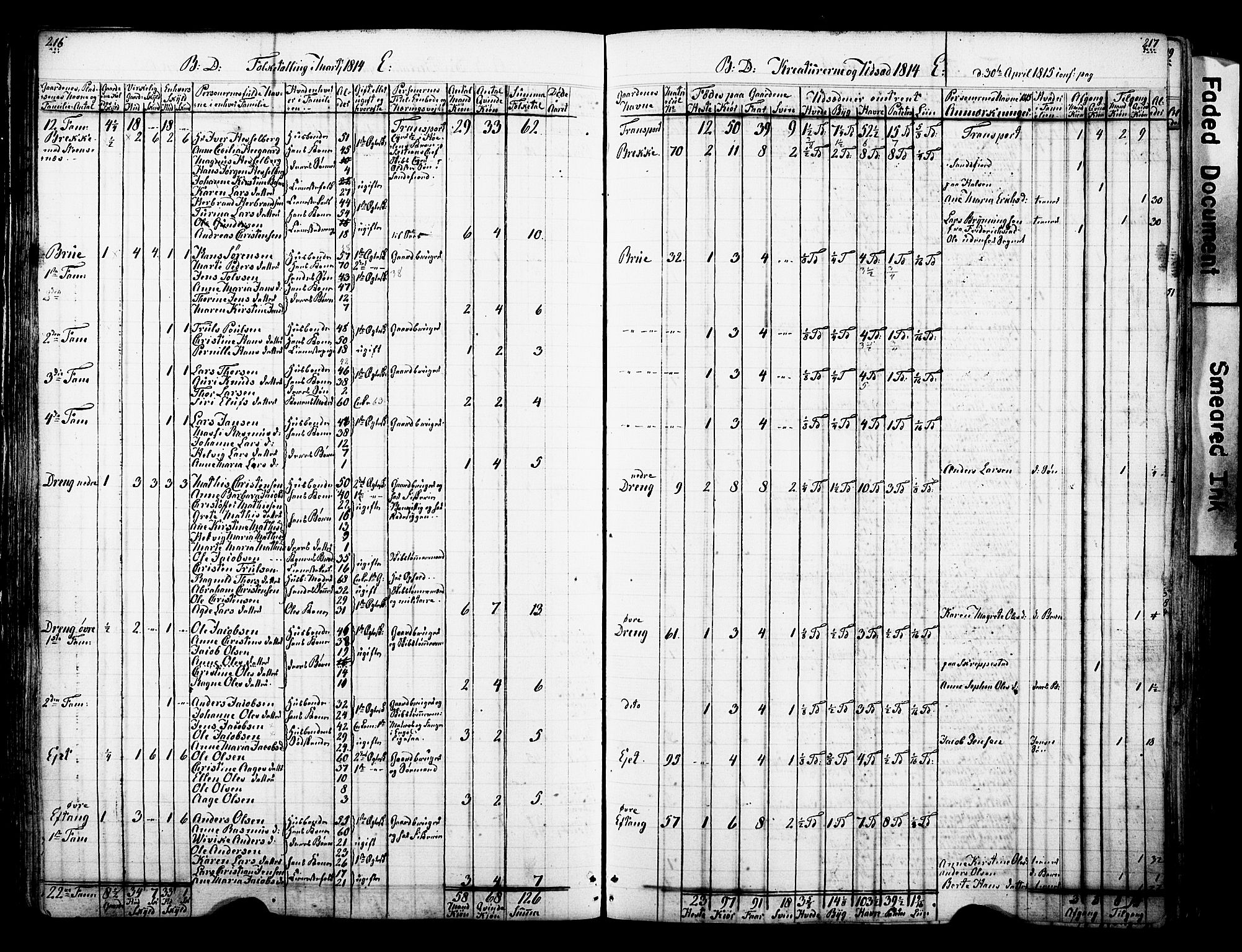 SAKO, Lokal folketelling 1814 for 0725P Tjølling prestegjeld, 1814, s. 216-217