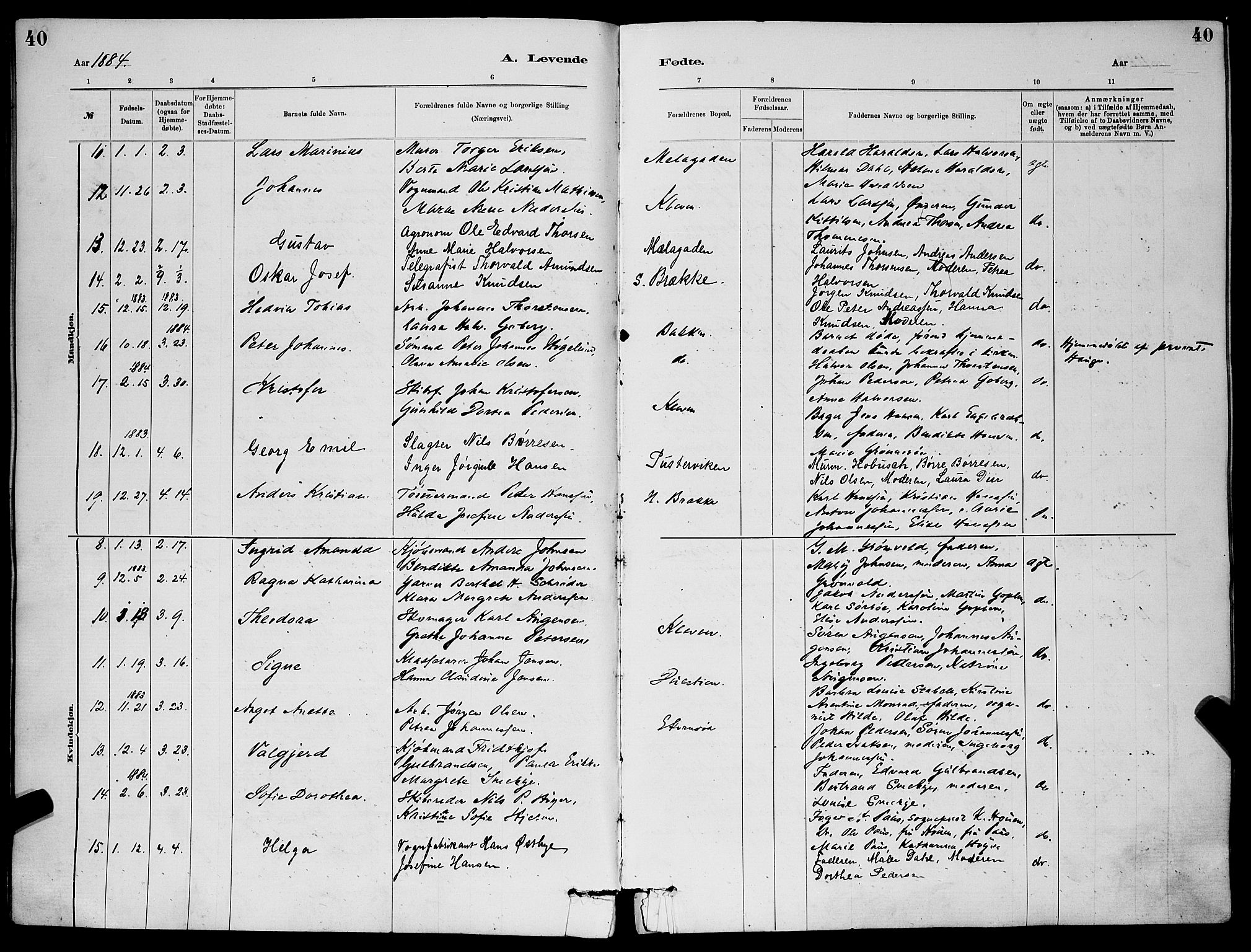 Skien kirkebøker, AV/SAKO-A-302/G/Ga/L0006: Klokkerbok nr. 6, 1881-1890, s. 40
