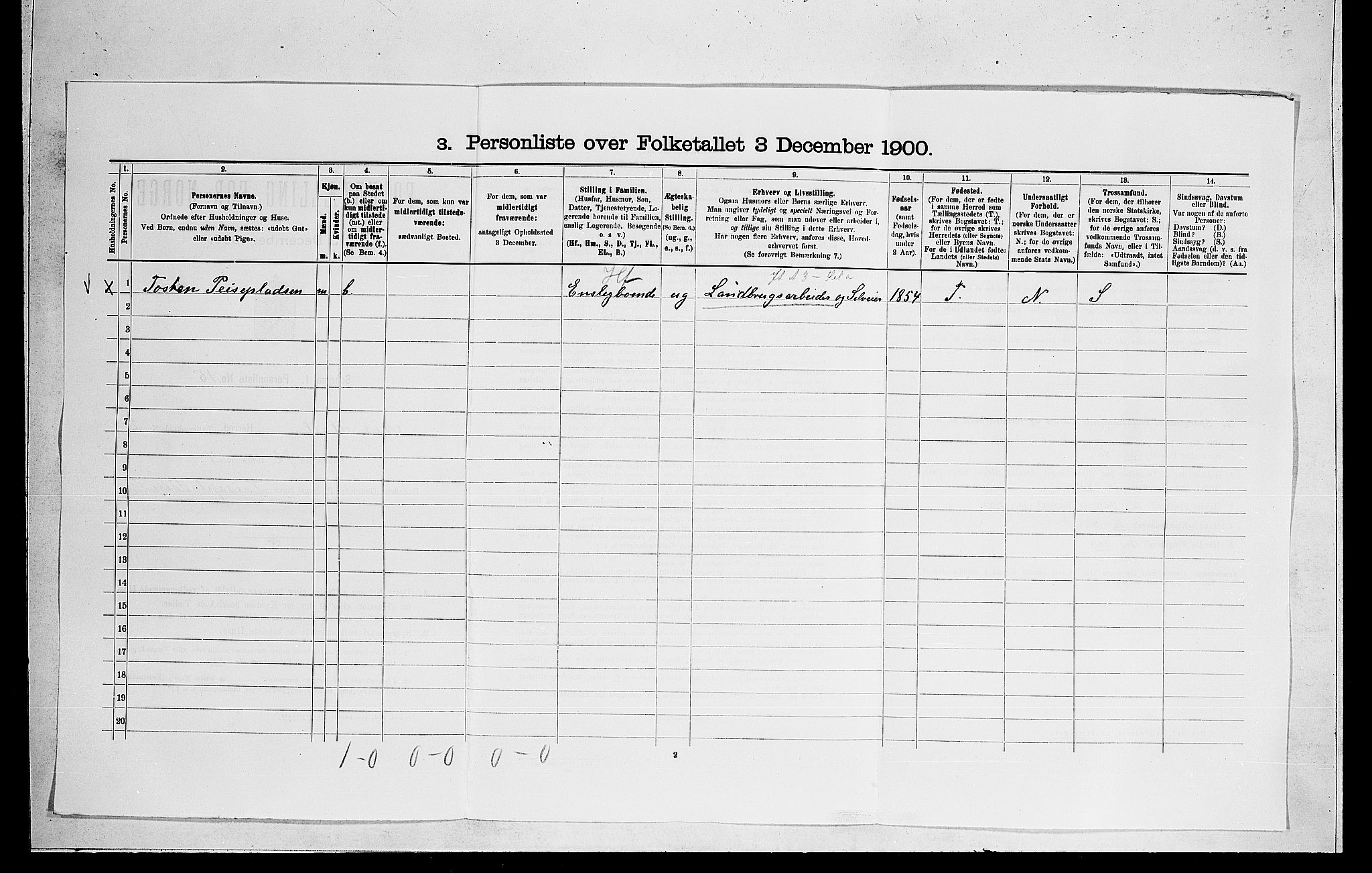 RA, Folketelling 1900 for 0616 Nes herred, 1900, s. 43