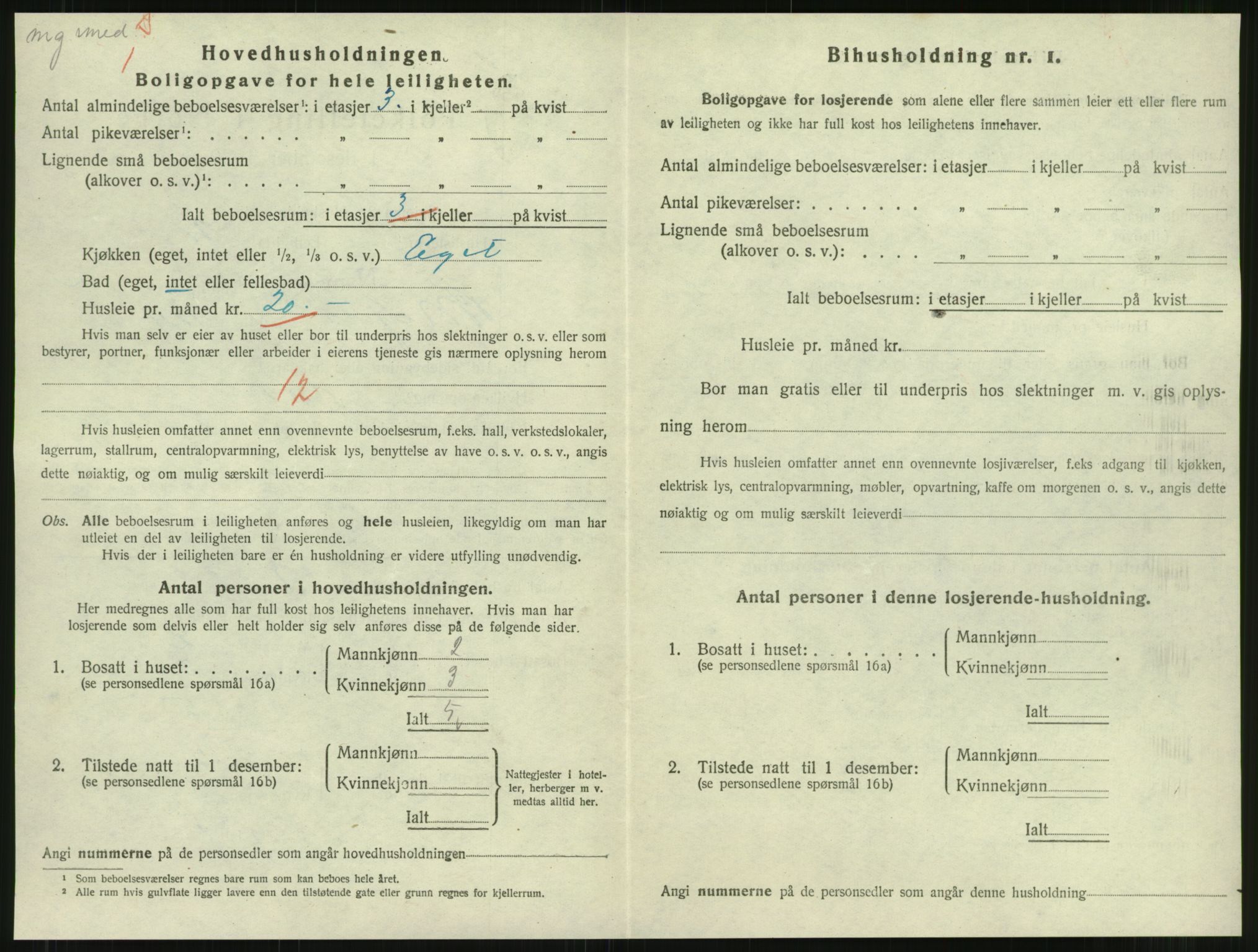 SAT, Folketelling 1920 for 1703 Namsos ladested, 1920, s. 1110