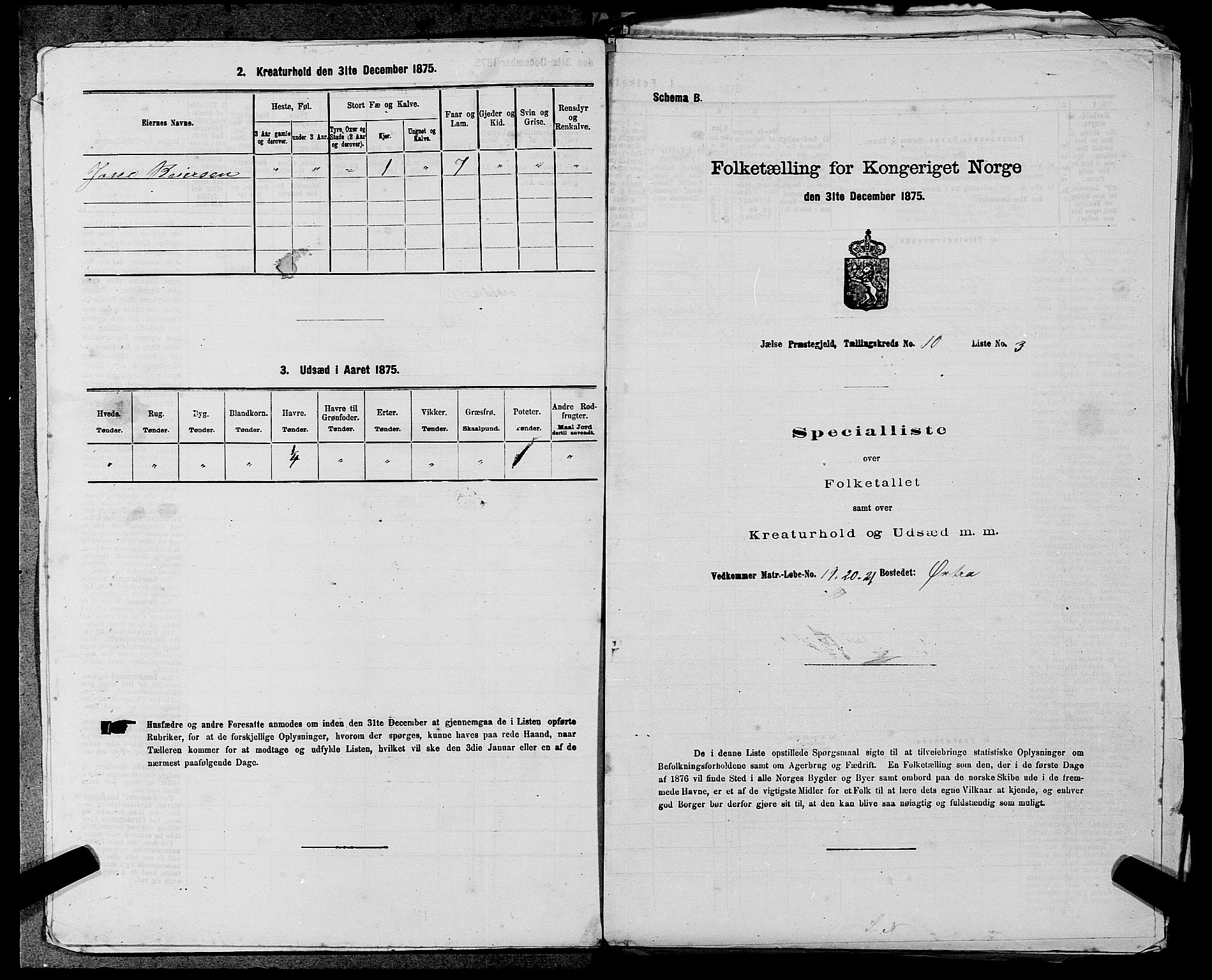 SAST, Folketelling 1875 for 1138P Jelsa prestegjeld, 1875, s. 851