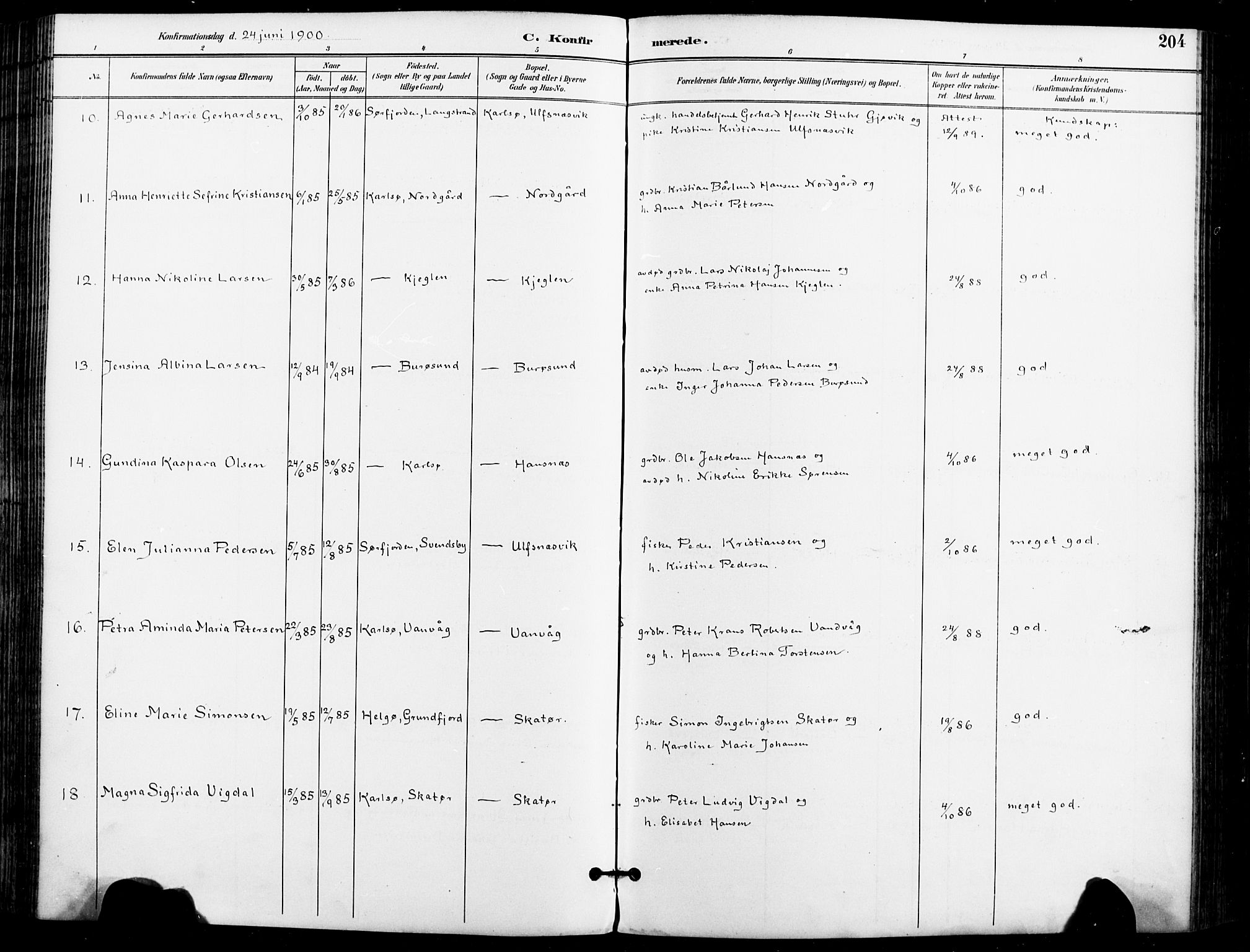 Karlsøy sokneprestembete, SATØ/S-1299/H/Ha/Haa/L0007kirke: Ministerialbok nr. 7, 1891-1902, s. 204