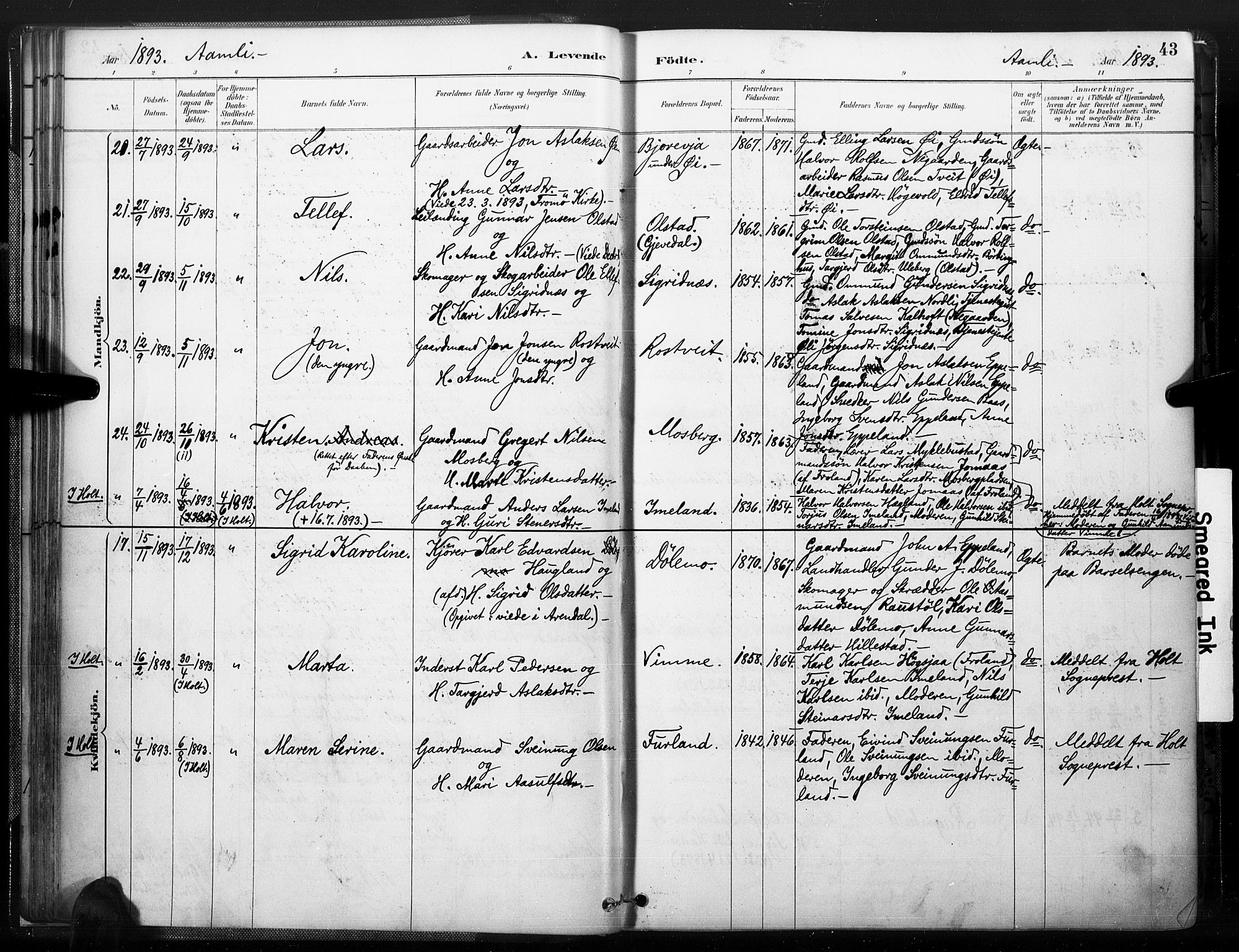 Åmli sokneprestkontor, AV/SAK-1111-0050/F/Fa/Fac/L0010: Ministerialbok nr. A 10 /1, 1885-1899, s. 43