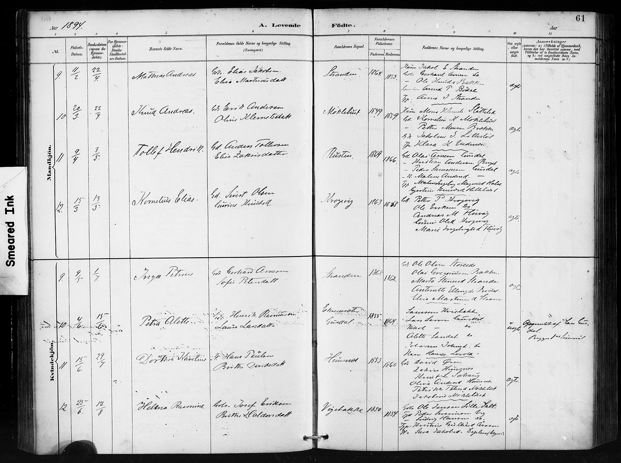 Ministerialprotokoller, klokkerbøker og fødselsregistre - Møre og Romsdal, AV/SAT-A-1454/501/L0008: Ministerialbok nr. 501A08, 1885-1901, s. 61