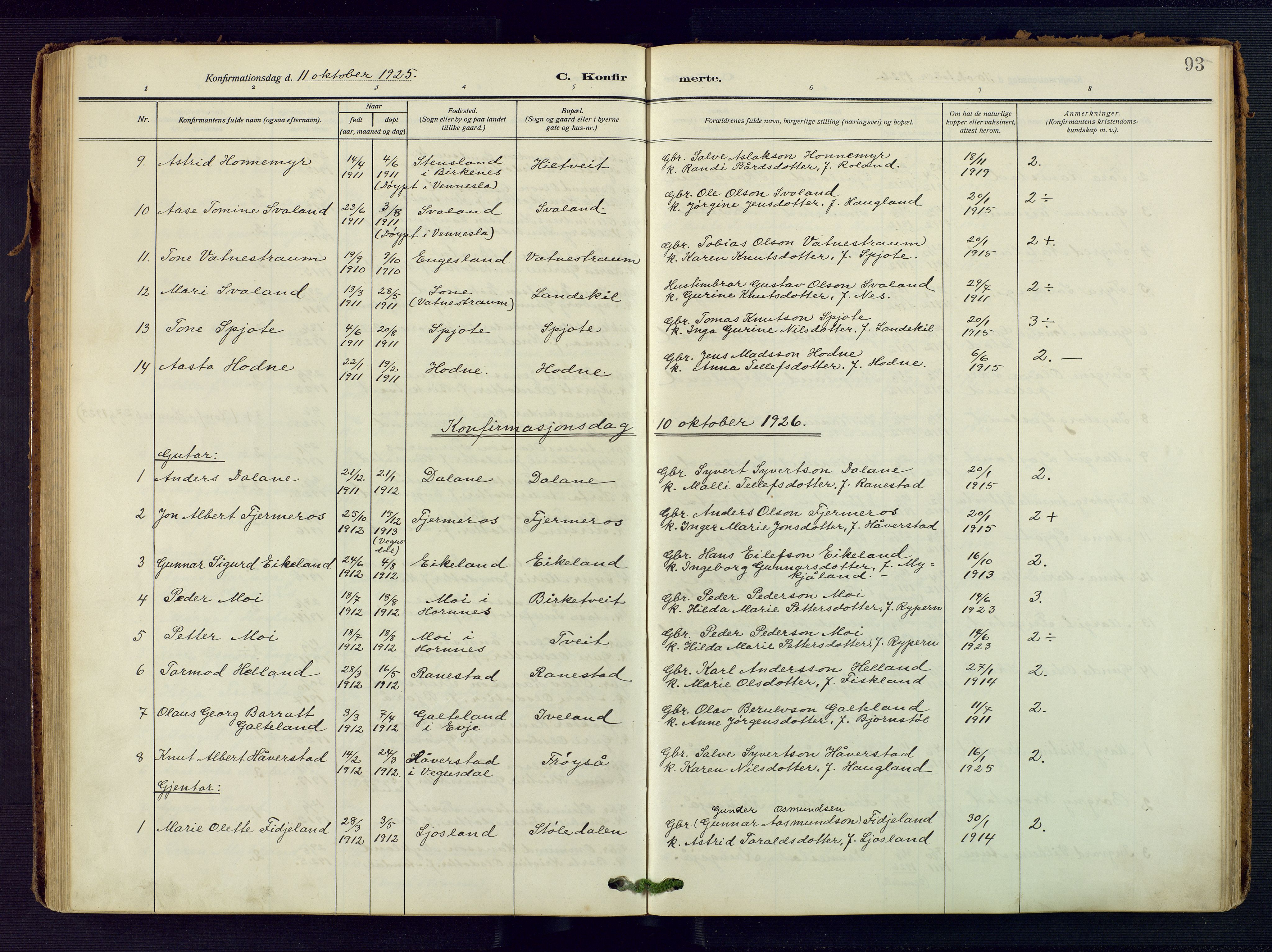 Evje sokneprestkontor, SAK/1111-0008/F/Fa/Fac/L0004: Ministerialbok nr. A 4, 1910-1932, s. 93