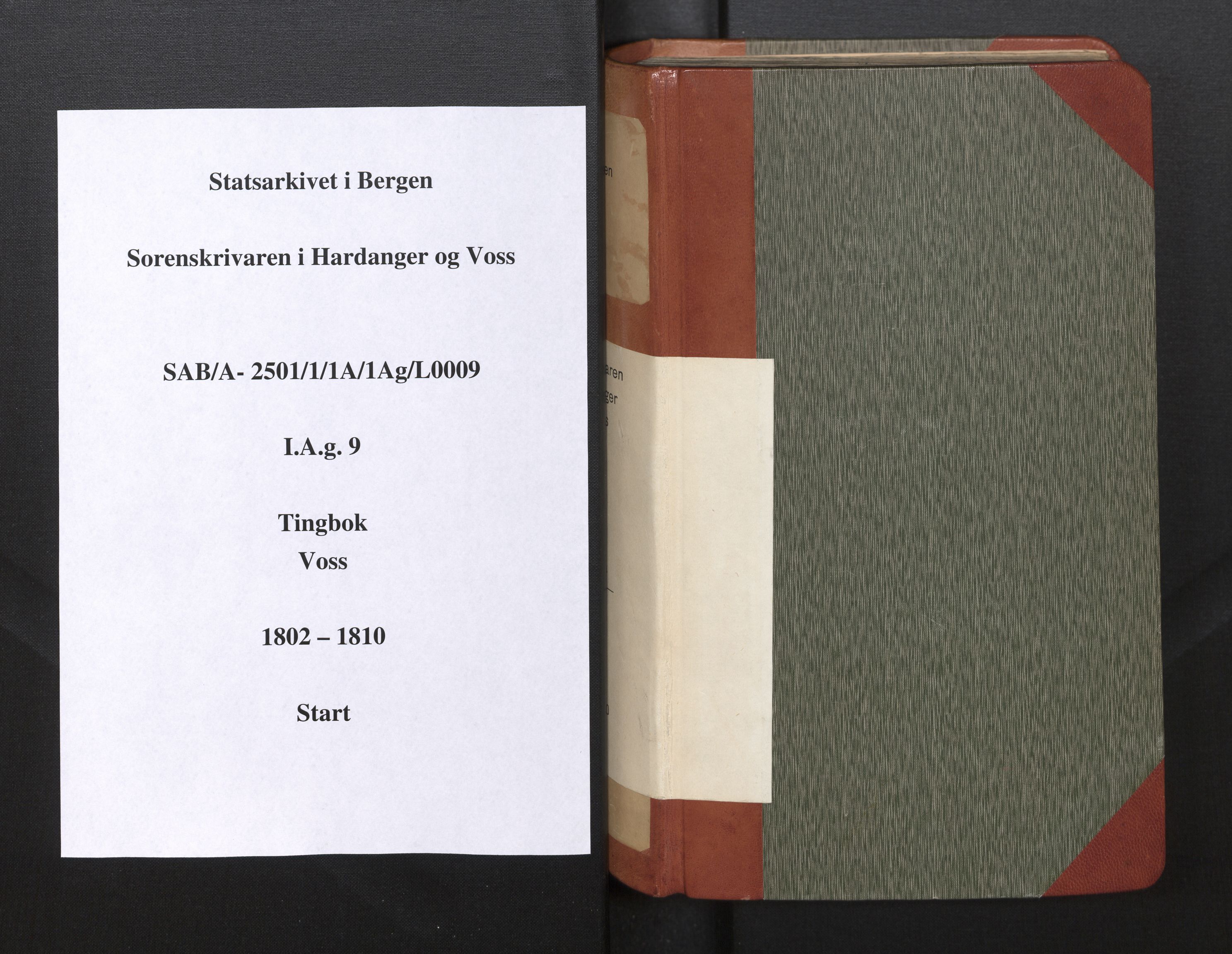 Hardanger og Voss sorenskriveri, SAB/A-2501/1/1A/1Ag/L0009: Tingbok for Voss, 1802-1810