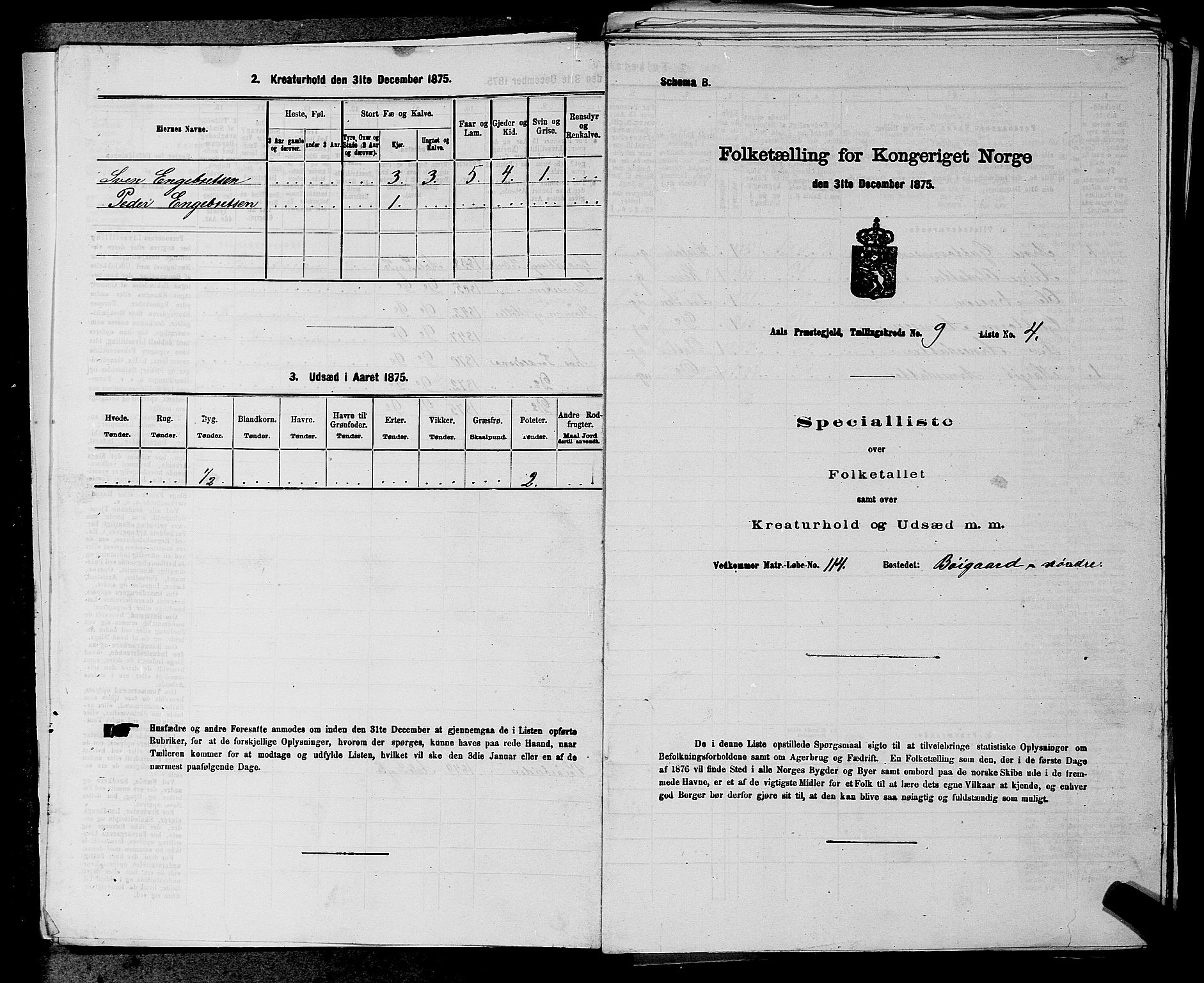 SAKO, Folketelling 1875 for 0619P Ål prestegjeld, 1875, s. 1098