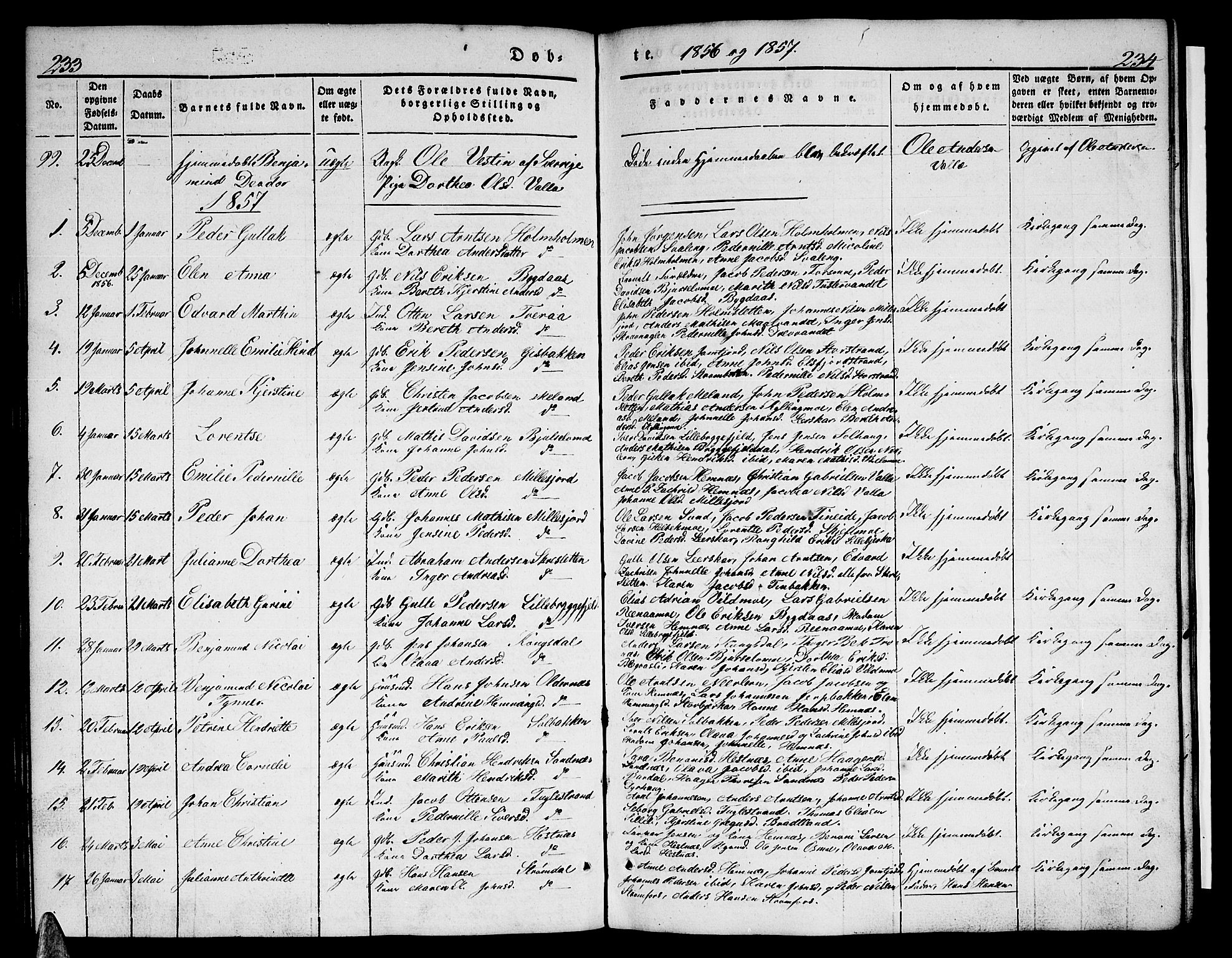 Ministerialprotokoller, klokkerbøker og fødselsregistre - Nordland, AV/SAT-A-1459/825/L0364: Klokkerbok nr. 825C01, 1841-1863, s. 233-234