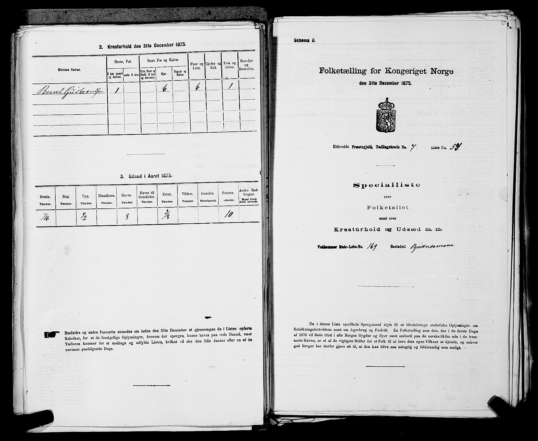 RA, Folketelling 1875 for 0237P Eidsvoll prestegjeld, 1875, s. 995