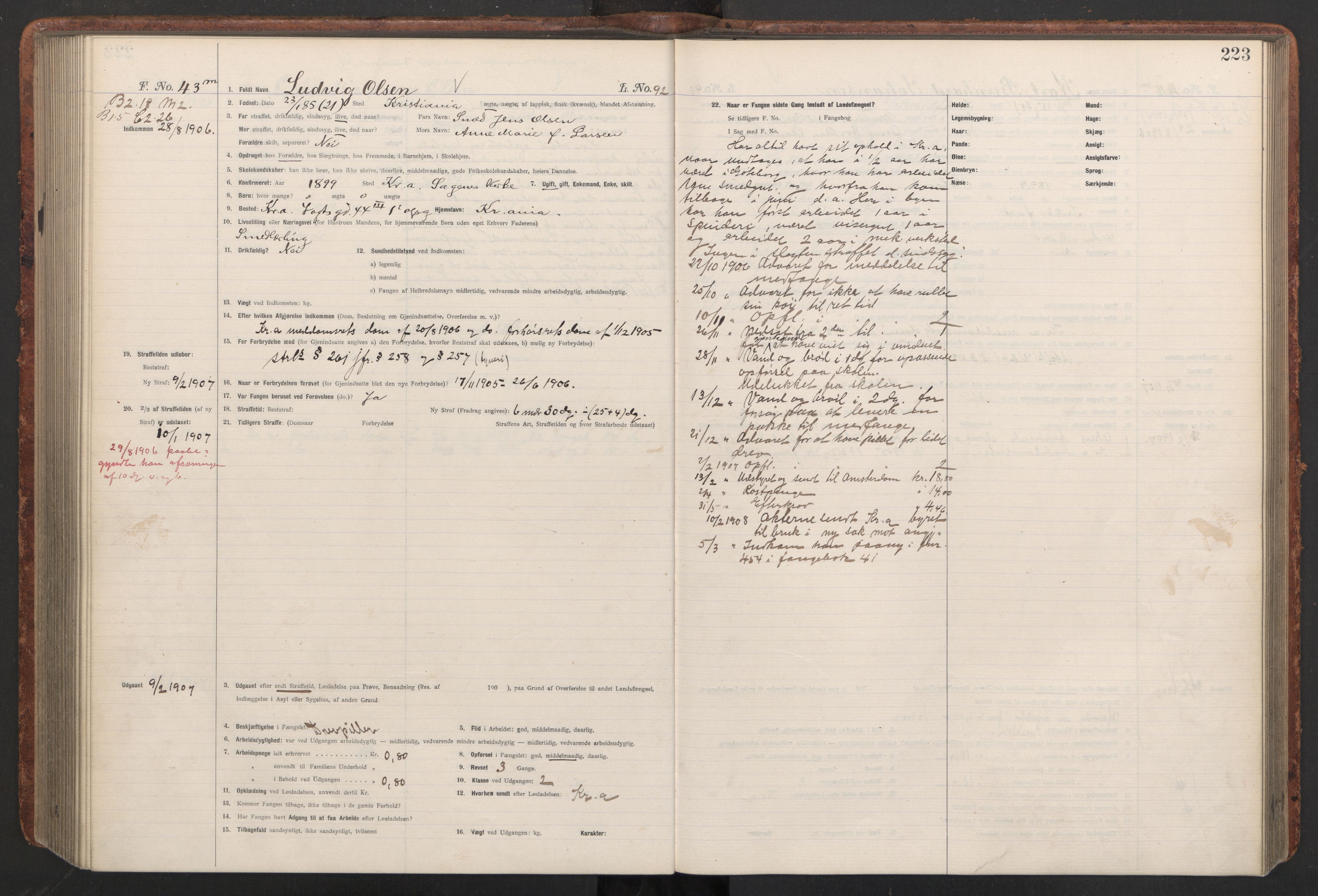 Botsfengslet, AV/RA-S-1539/D/Db/Dbb/L0040: 821l - 171m, 1905-1907, s. 223