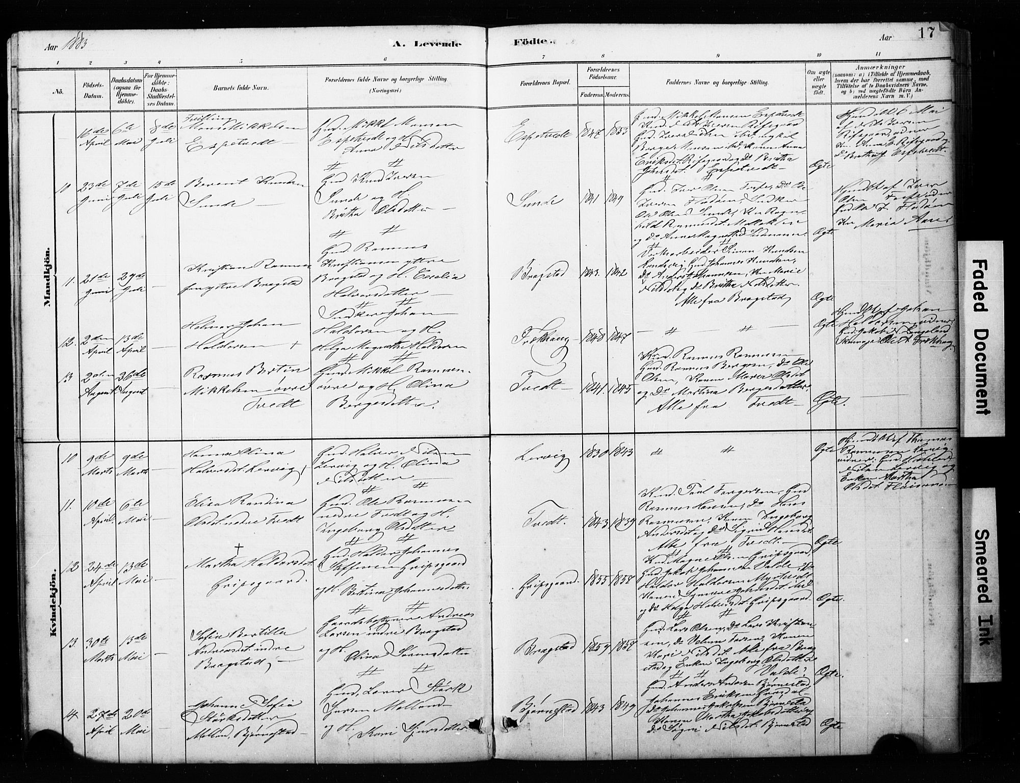 Alversund Sokneprestembete, AV/SAB-A-73901/H/Ha/Hab: Klokkerbok nr. C 3, 1881-1894, s. 17