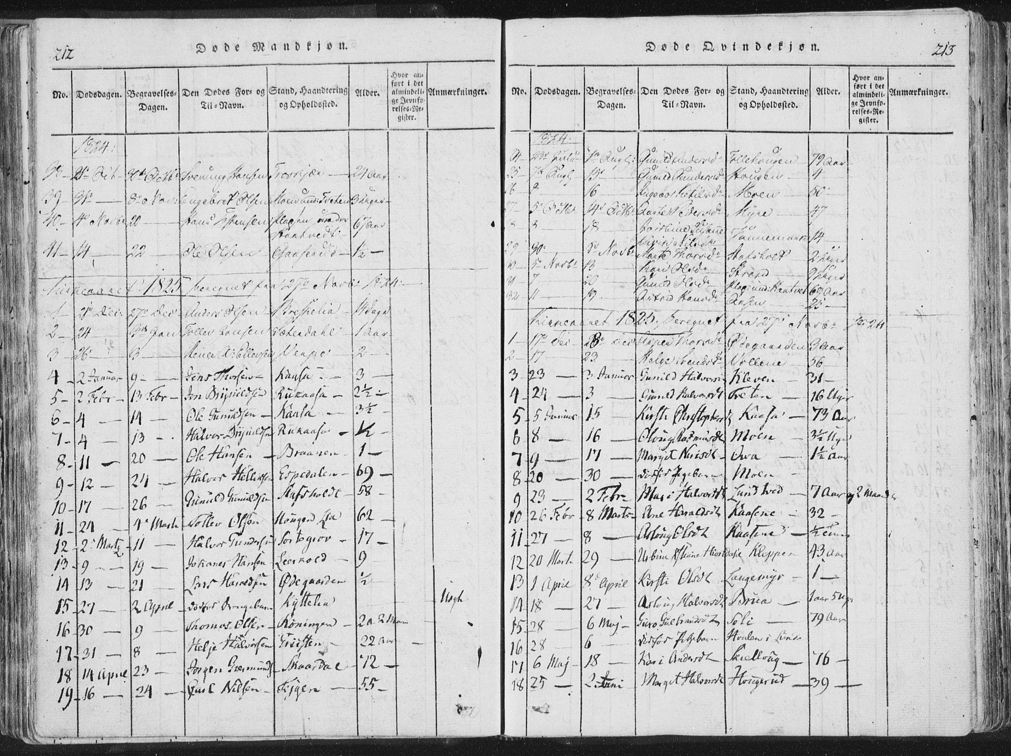 Bø kirkebøker, AV/SAKO-A-257/F/Fa/L0006: Ministerialbok nr. 6, 1815-1831, s. 212-213