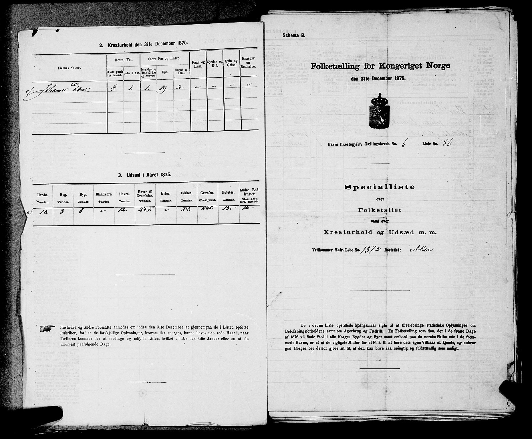 SAKO, Folketelling 1875 for 0624P Eiker prestegjeld, 1875, s. 1092