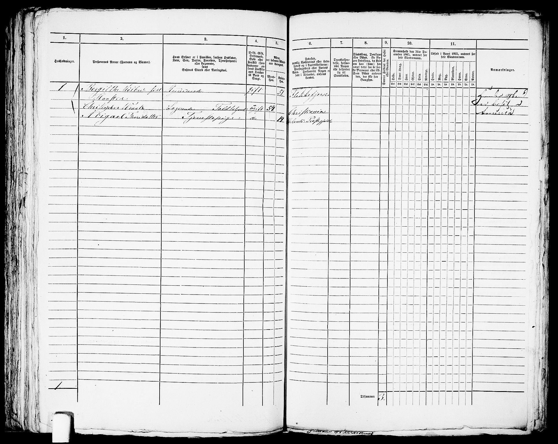 RA, Folketelling 1865 for 1004B Flekkefjord prestegjeld, Flekkefjord kjøpstad, 1865, s. 229