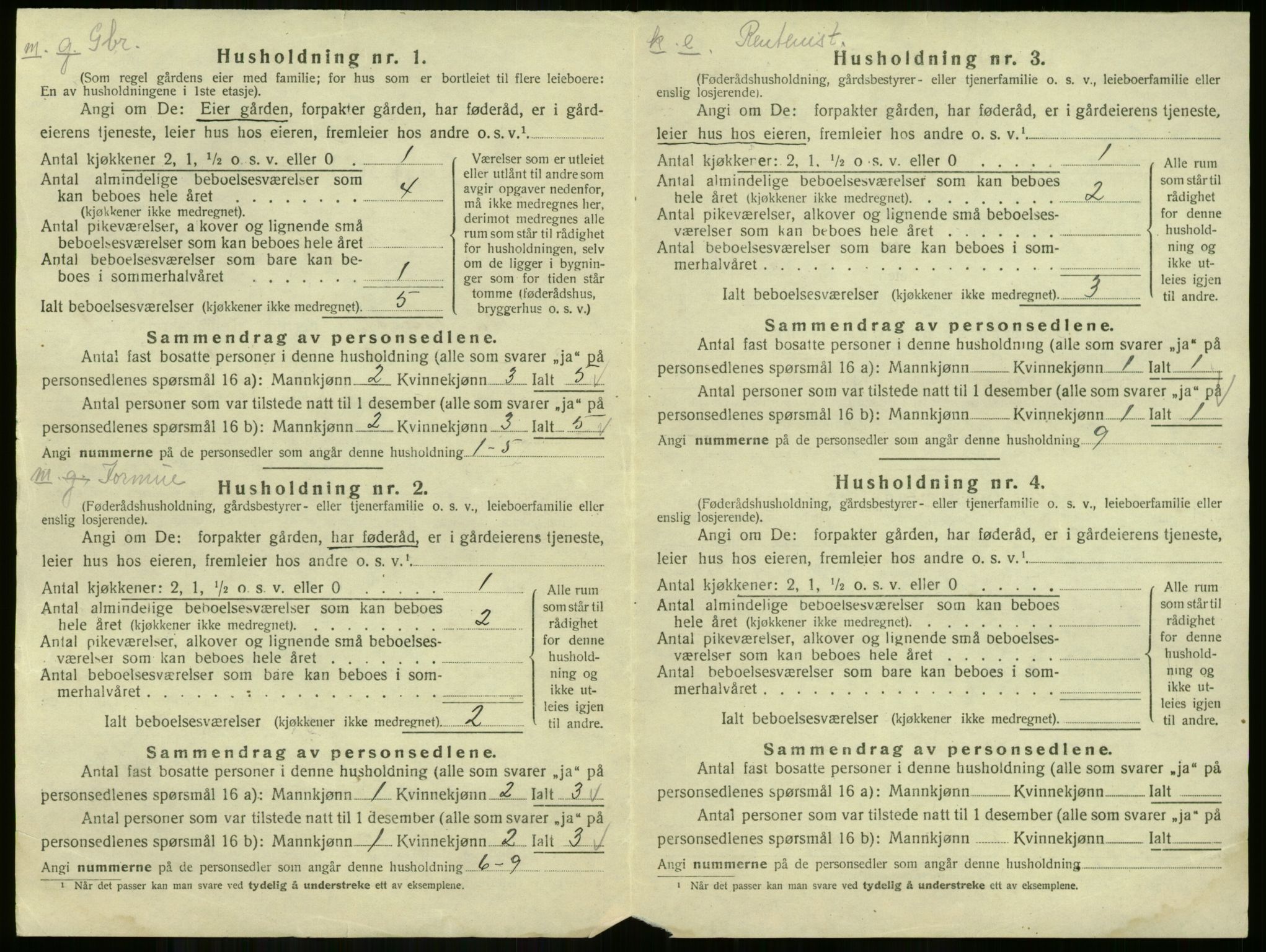 SAKO, Folketelling 1920 for 0615 Flå herred, 1920, s. 31