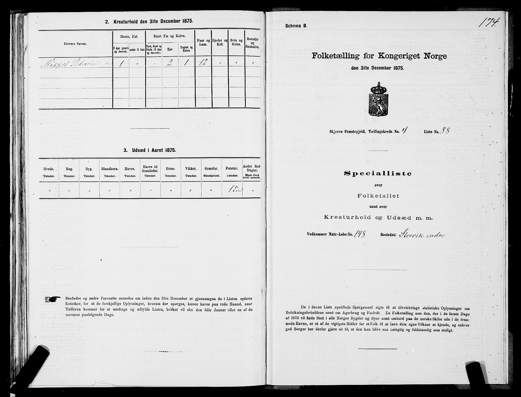 SATØ, Folketelling 1875 for 1941P Skjervøy prestegjeld, 1875, s. 3174