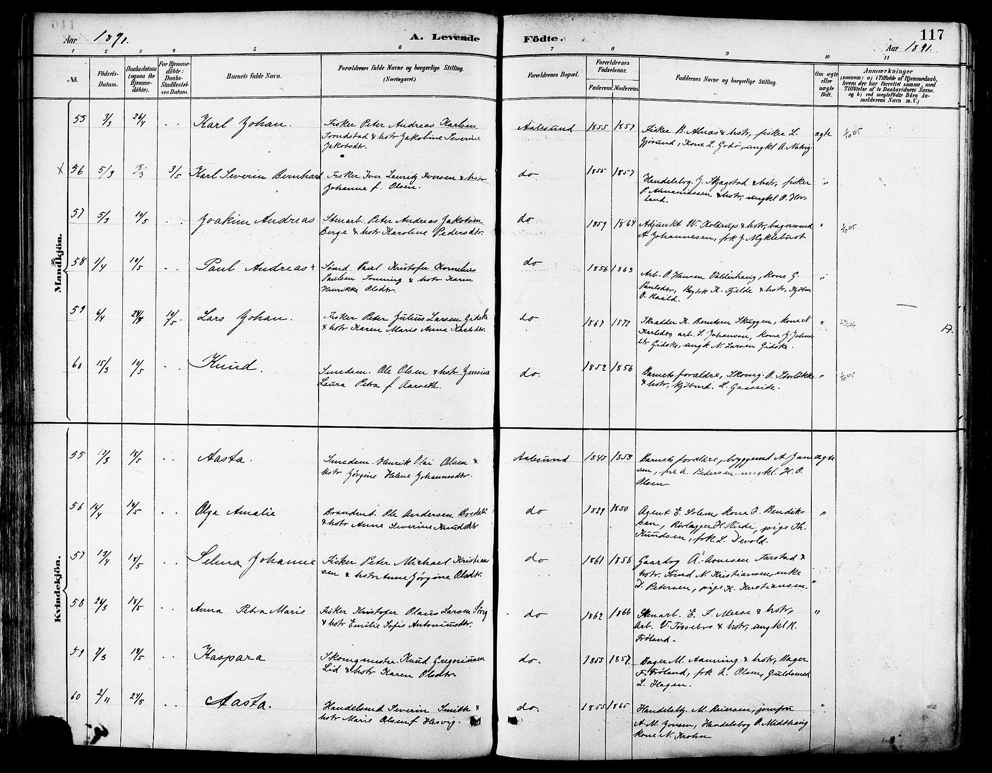 Ministerialprotokoller, klokkerbøker og fødselsregistre - Møre og Romsdal, SAT/A-1454/529/L0455: Ministerialbok nr. 529A05, 1885-1893, s. 117
